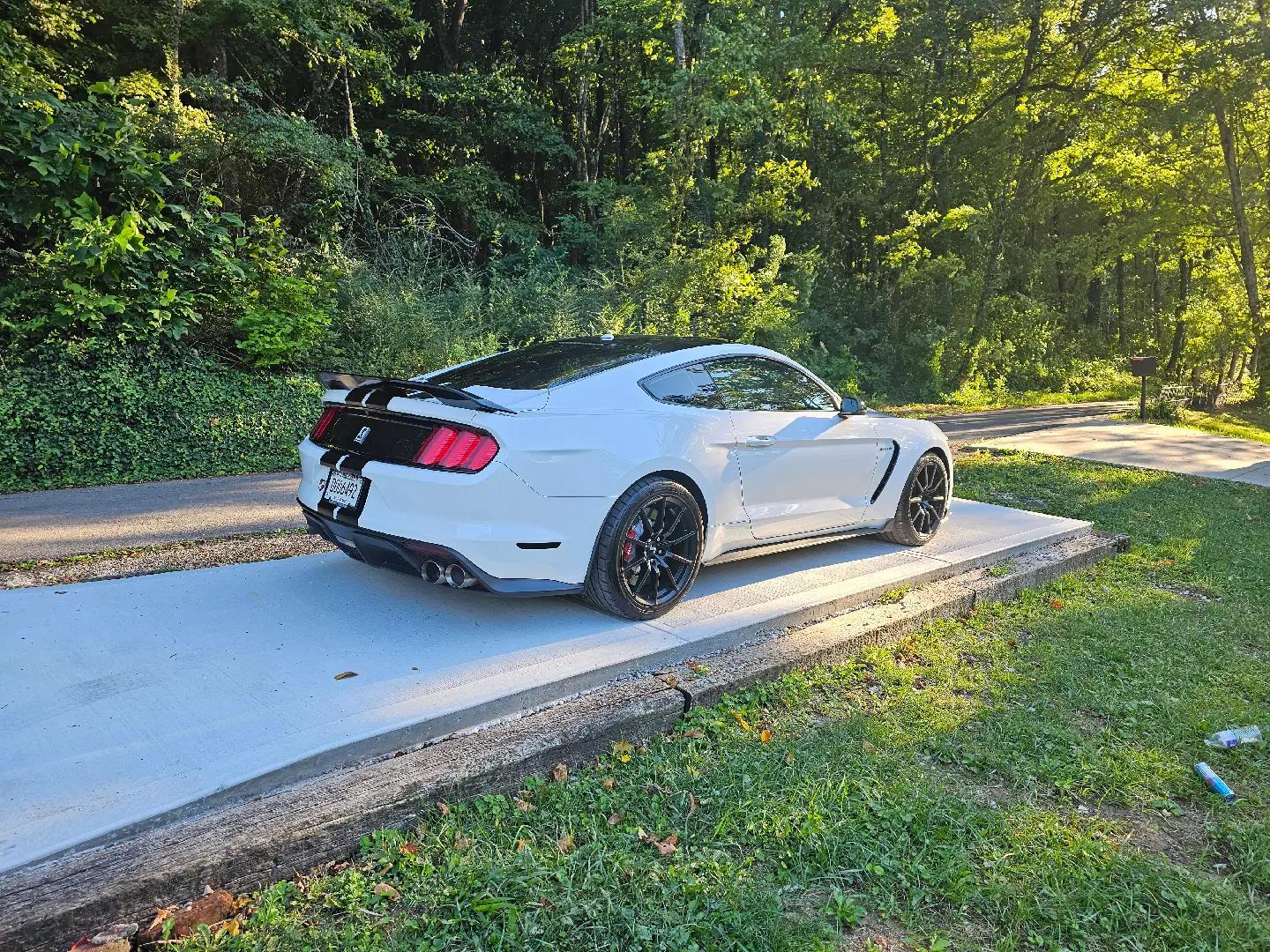 @Trinity_gt350