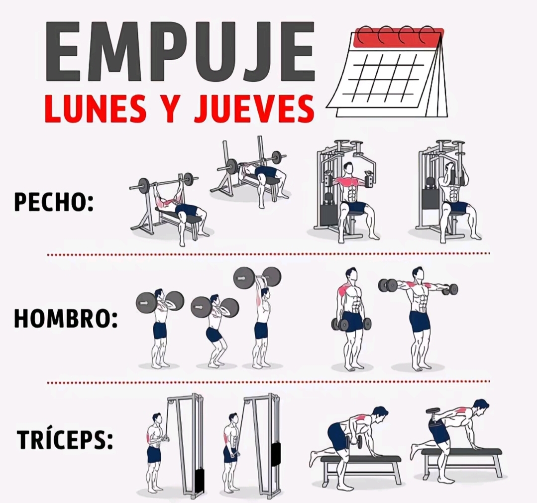 @Maximilianopaez