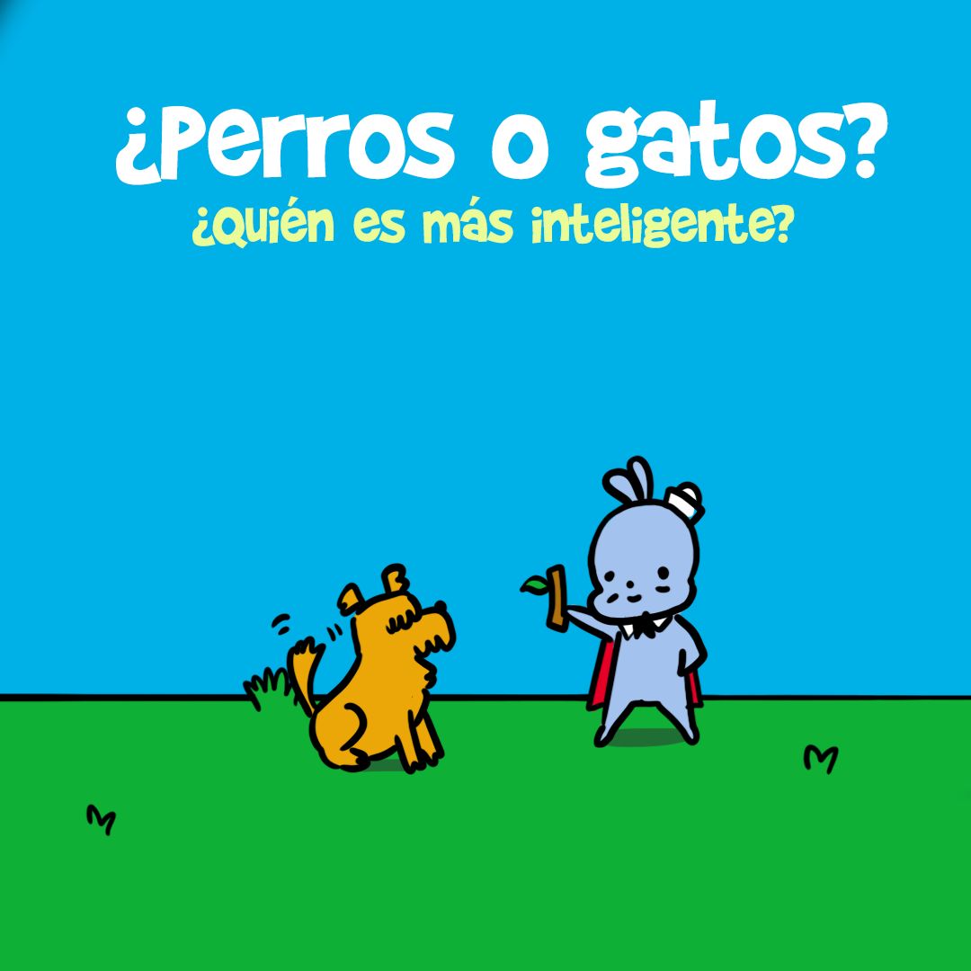 @Buenpelo