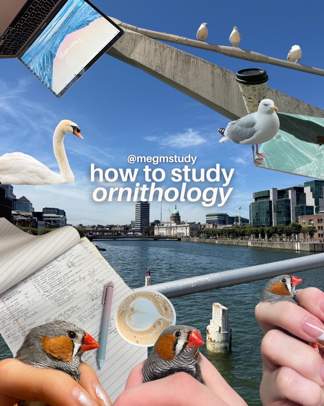 @megmstudy