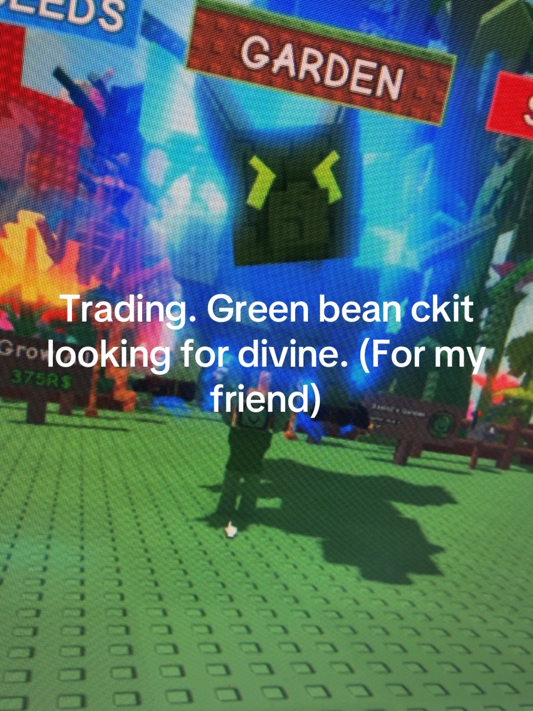 @Gag_trader