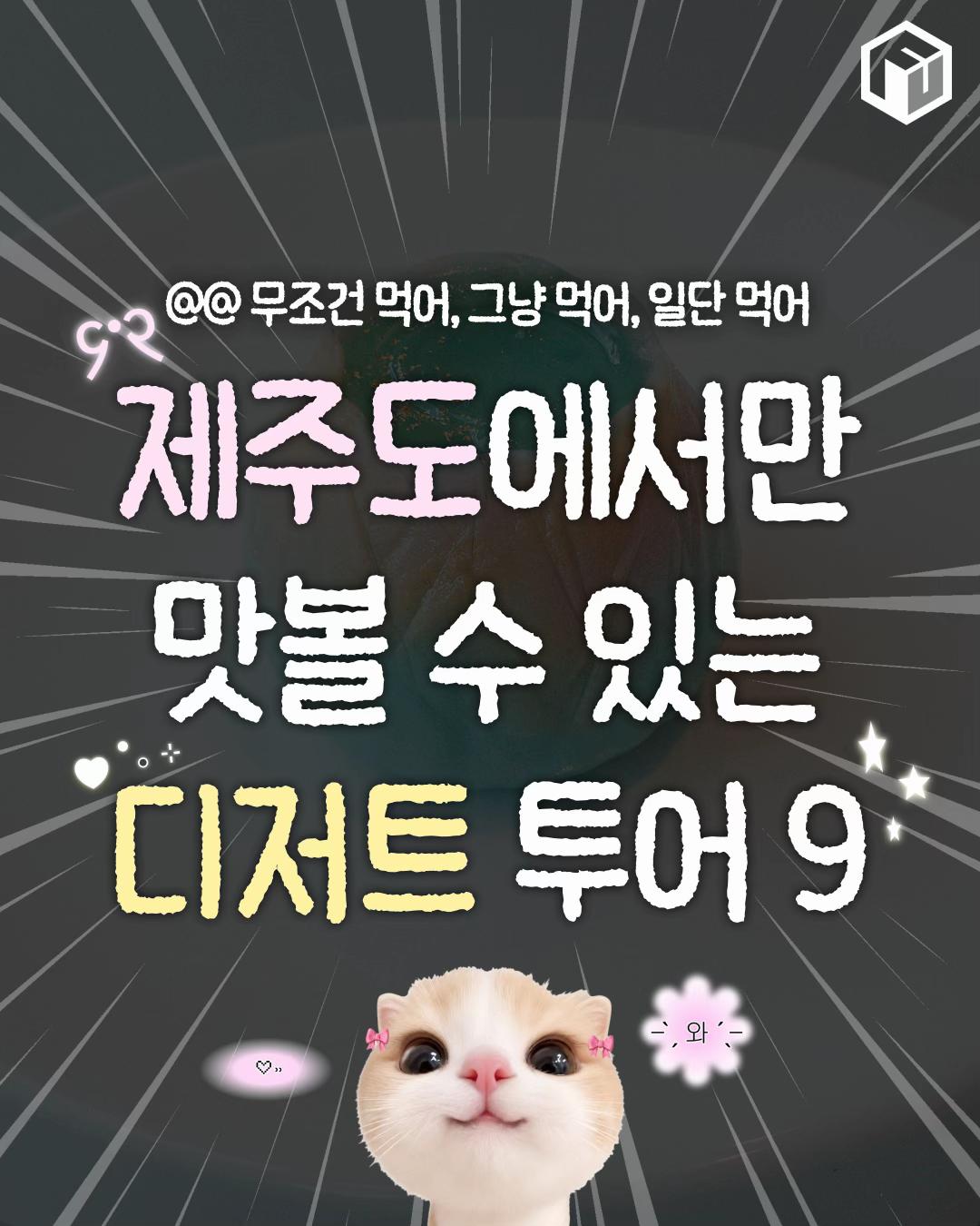 @제주톡톡