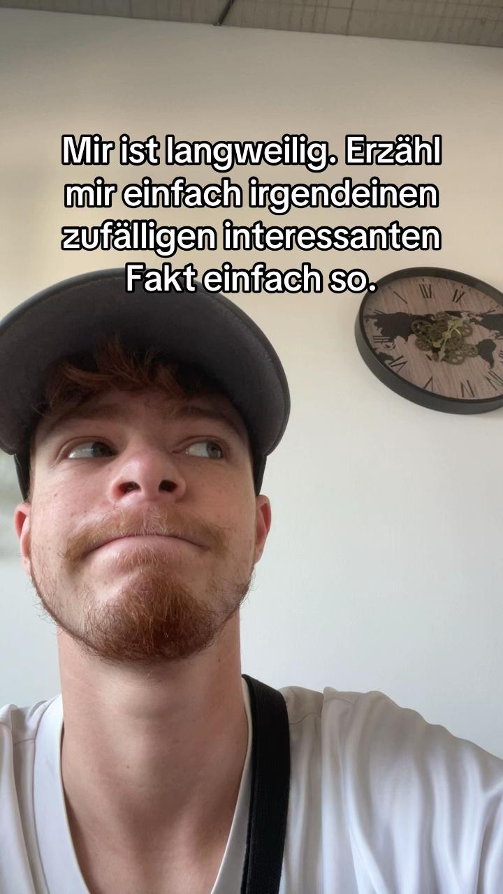 @dimi_Ginger