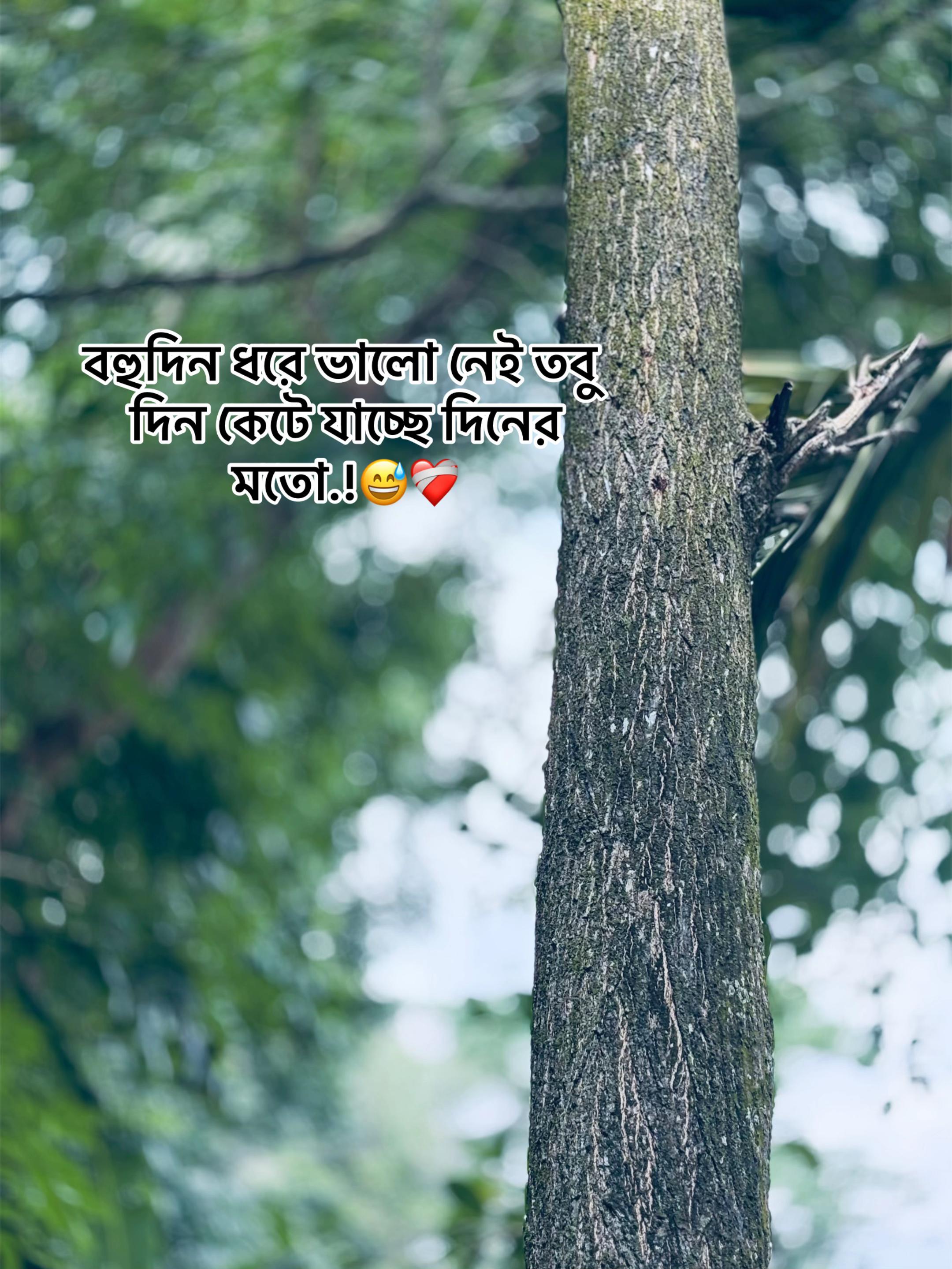 @সা জু 📜