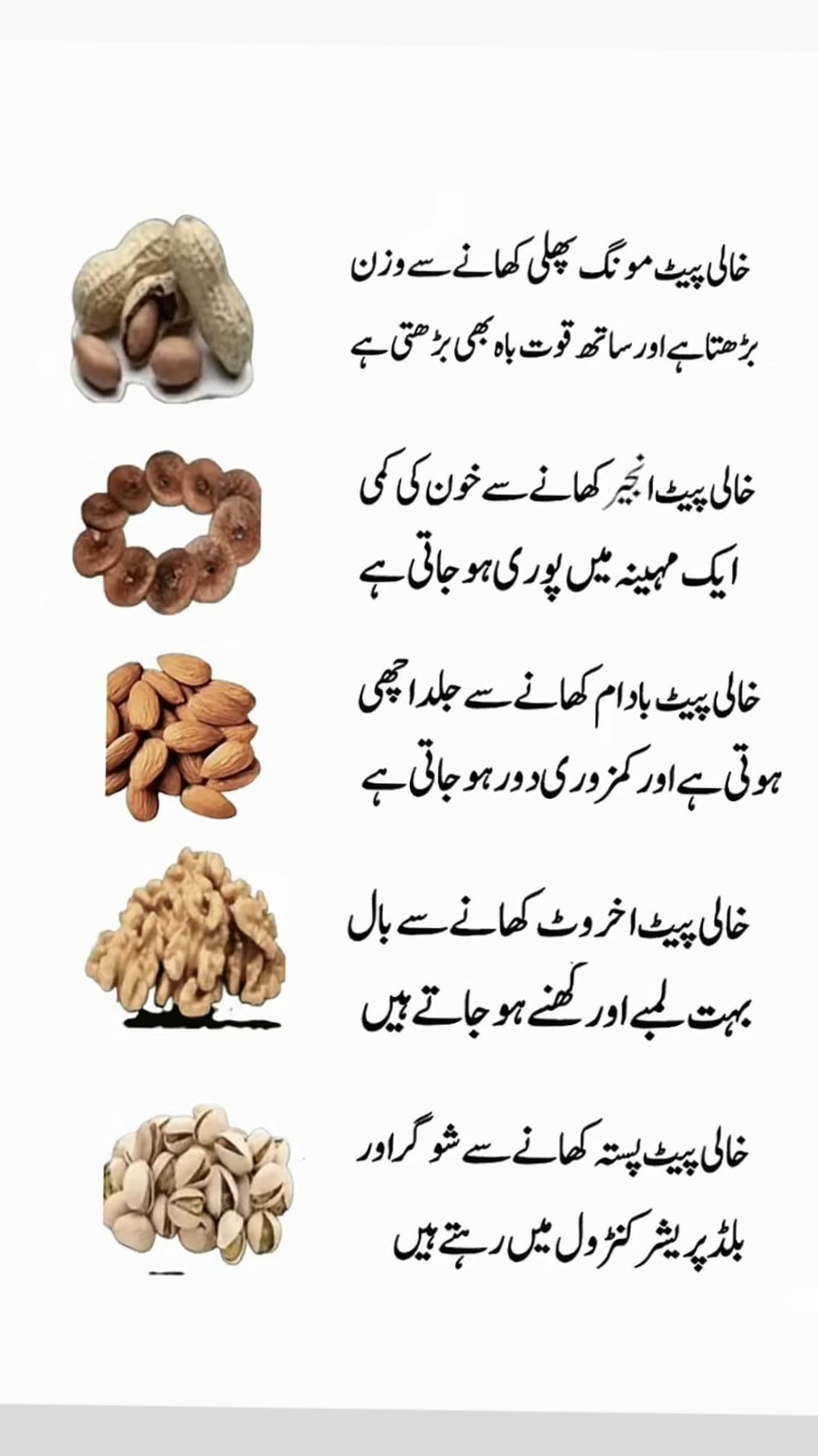 @Mishi Khan