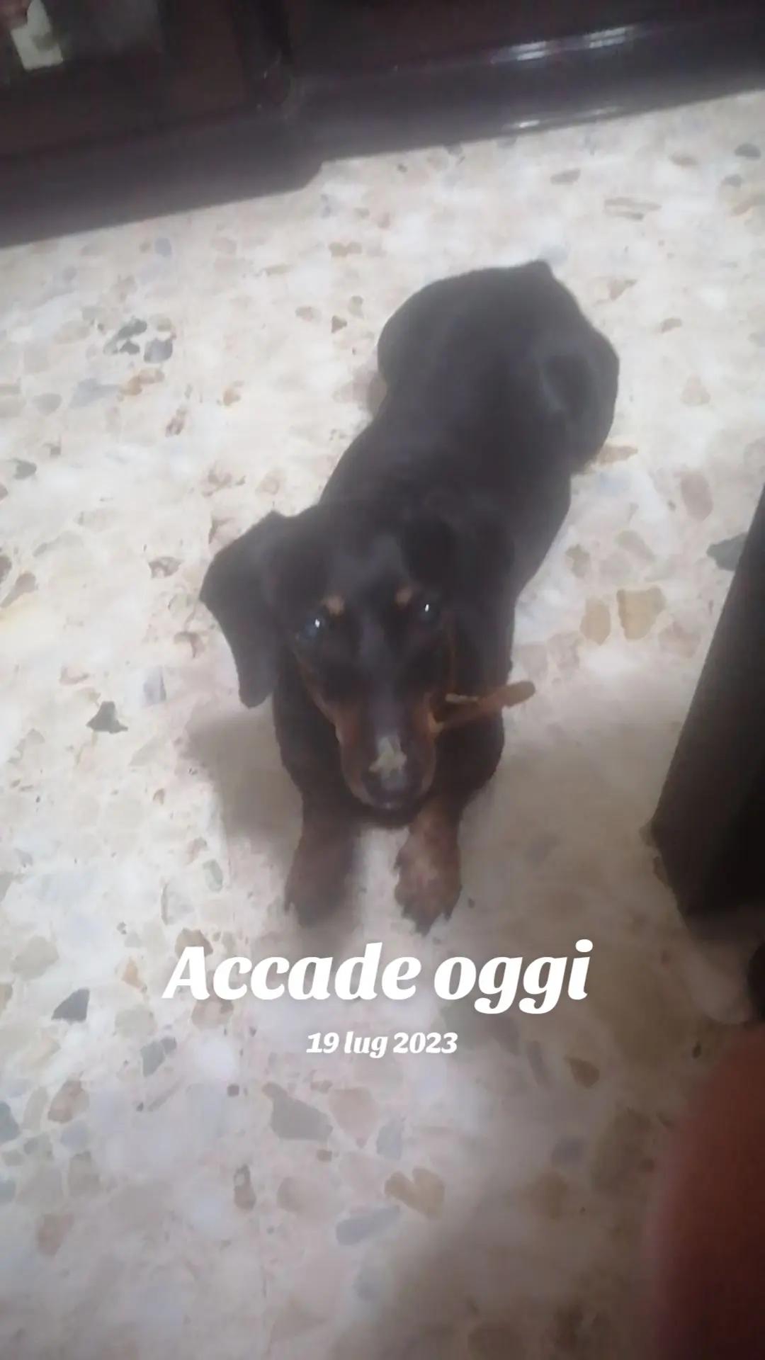 @Rosaria