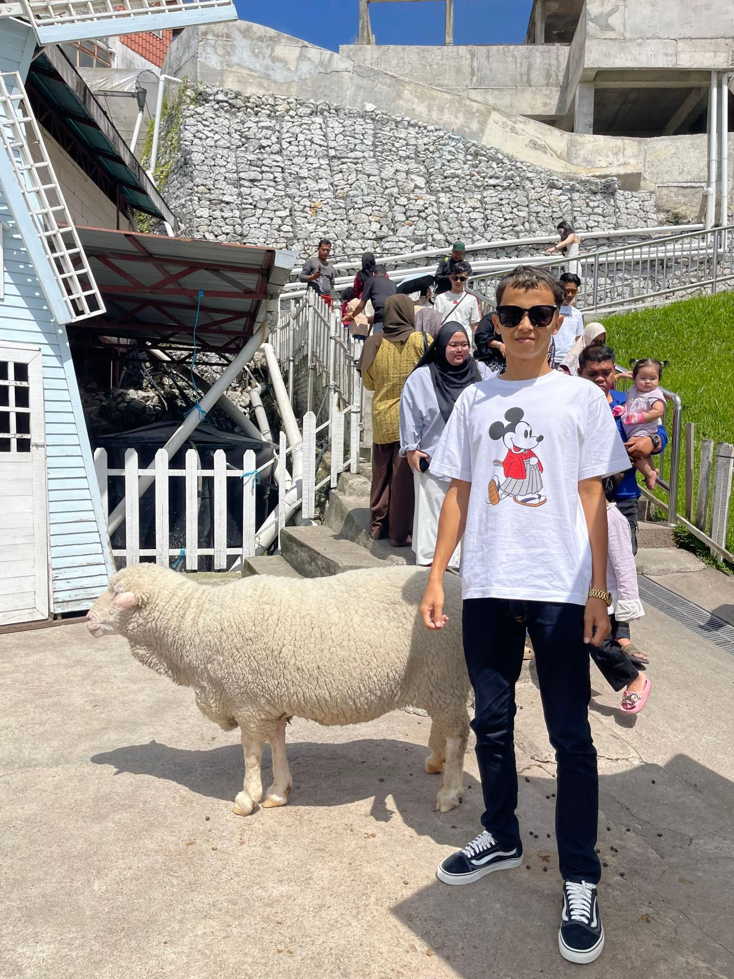 @aminbahhh🇹🇭