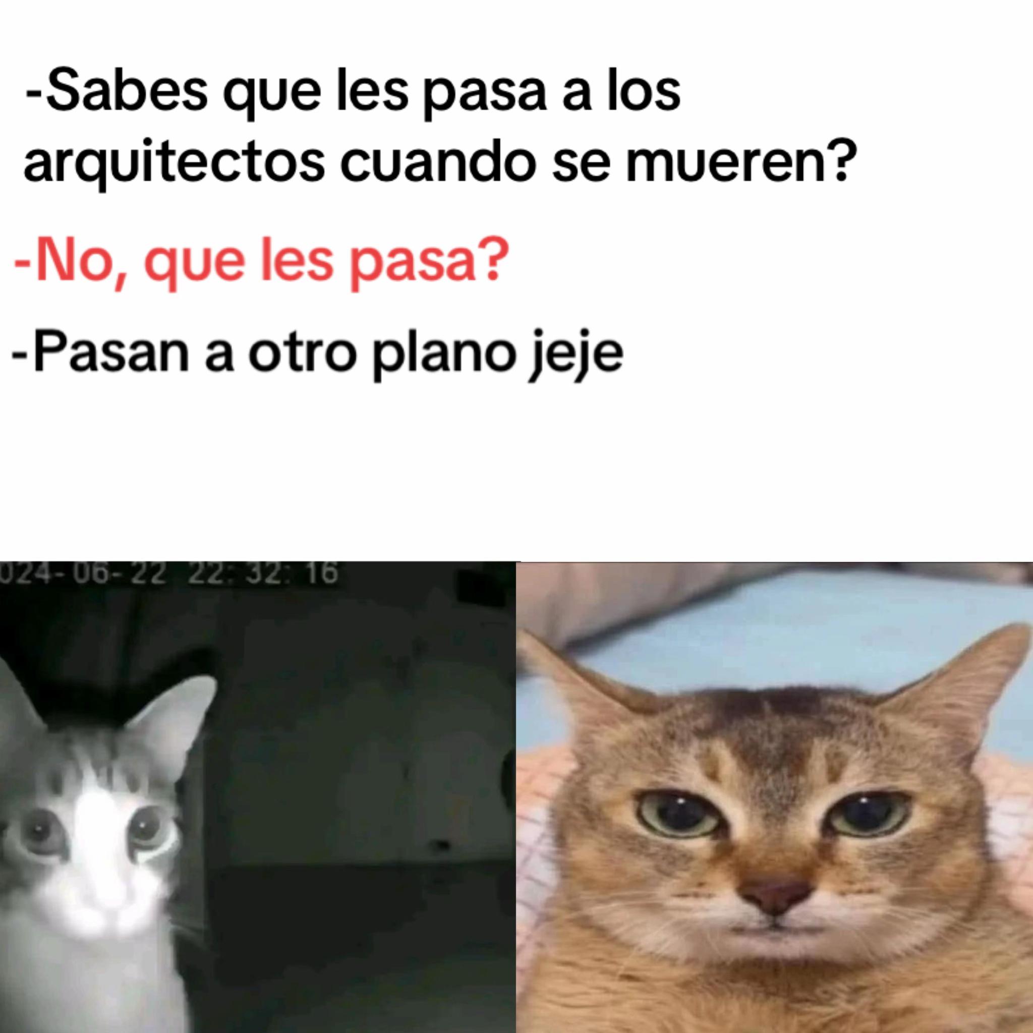 @momazosnegromarronjeje