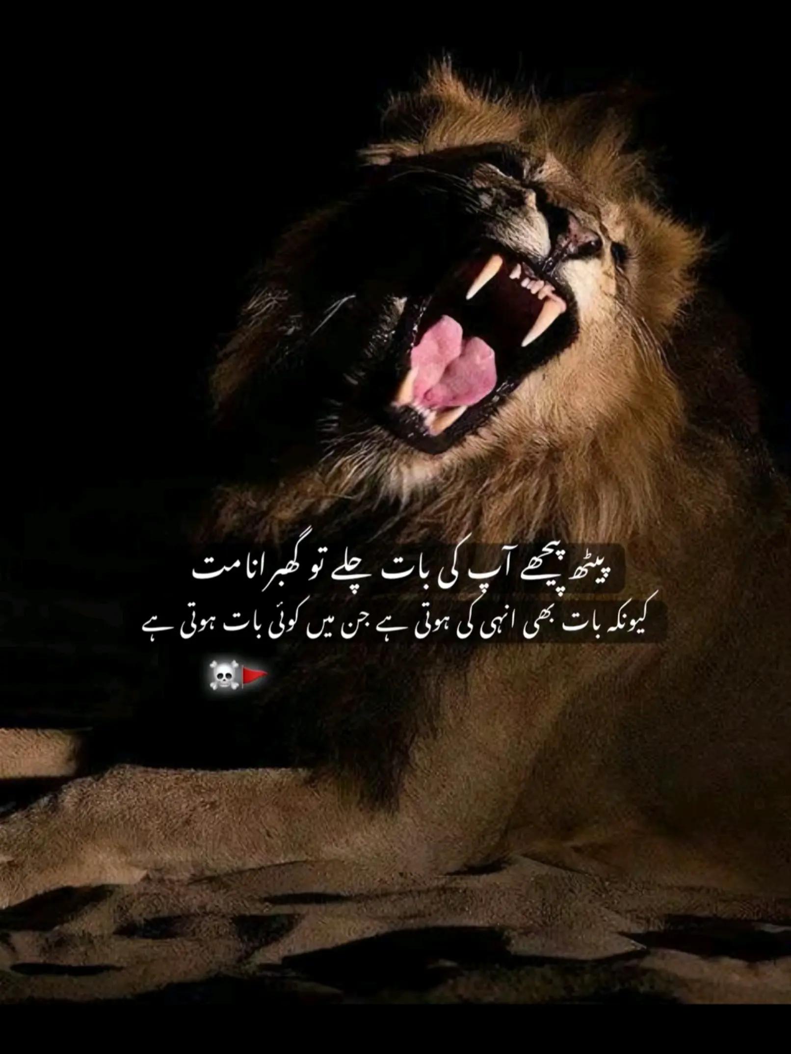 @👑☠️RaJpOoT❤️🔥گجرات آلا☠️👑