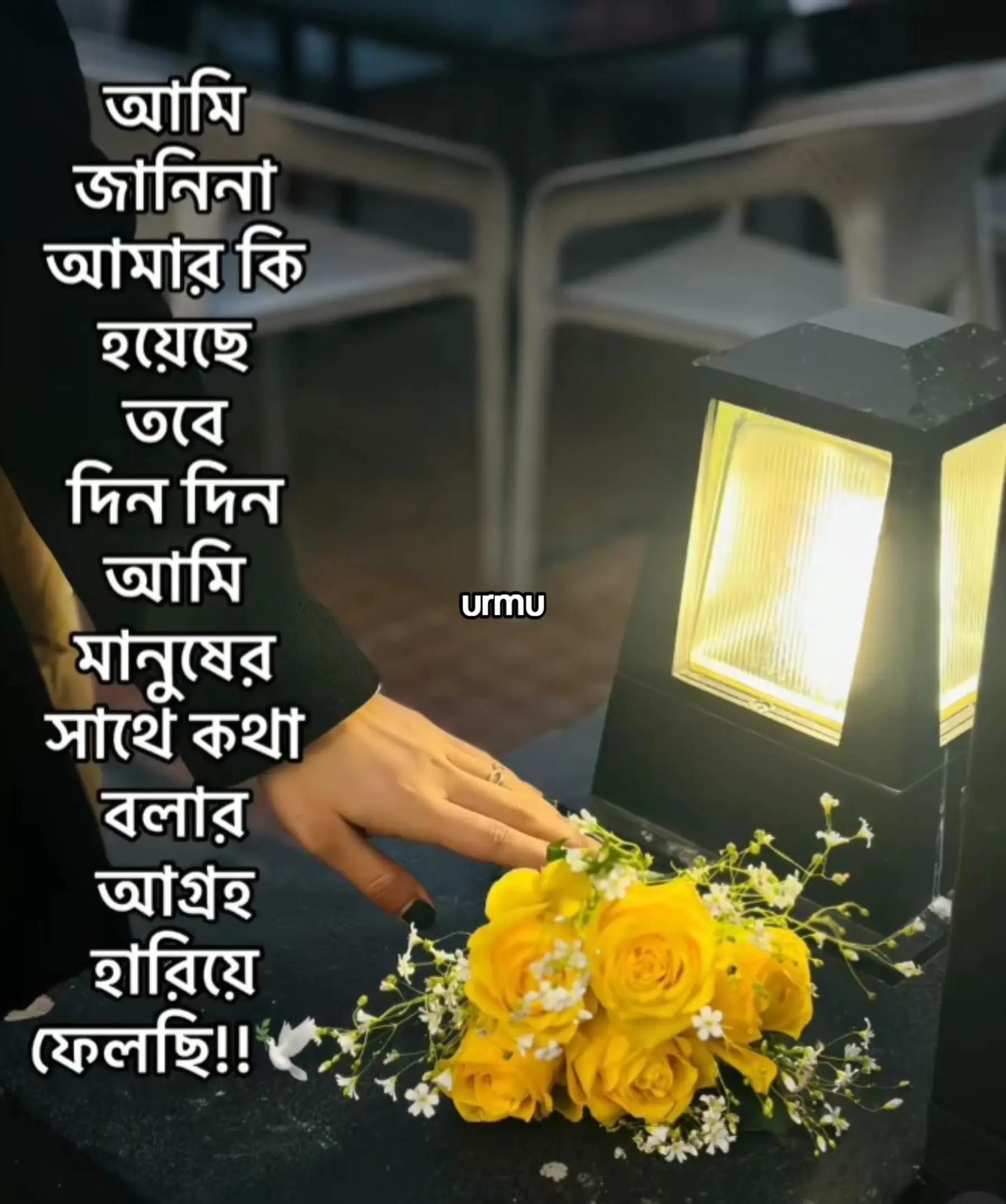 @🦋জাতির প্রজাপতি আপা🦋