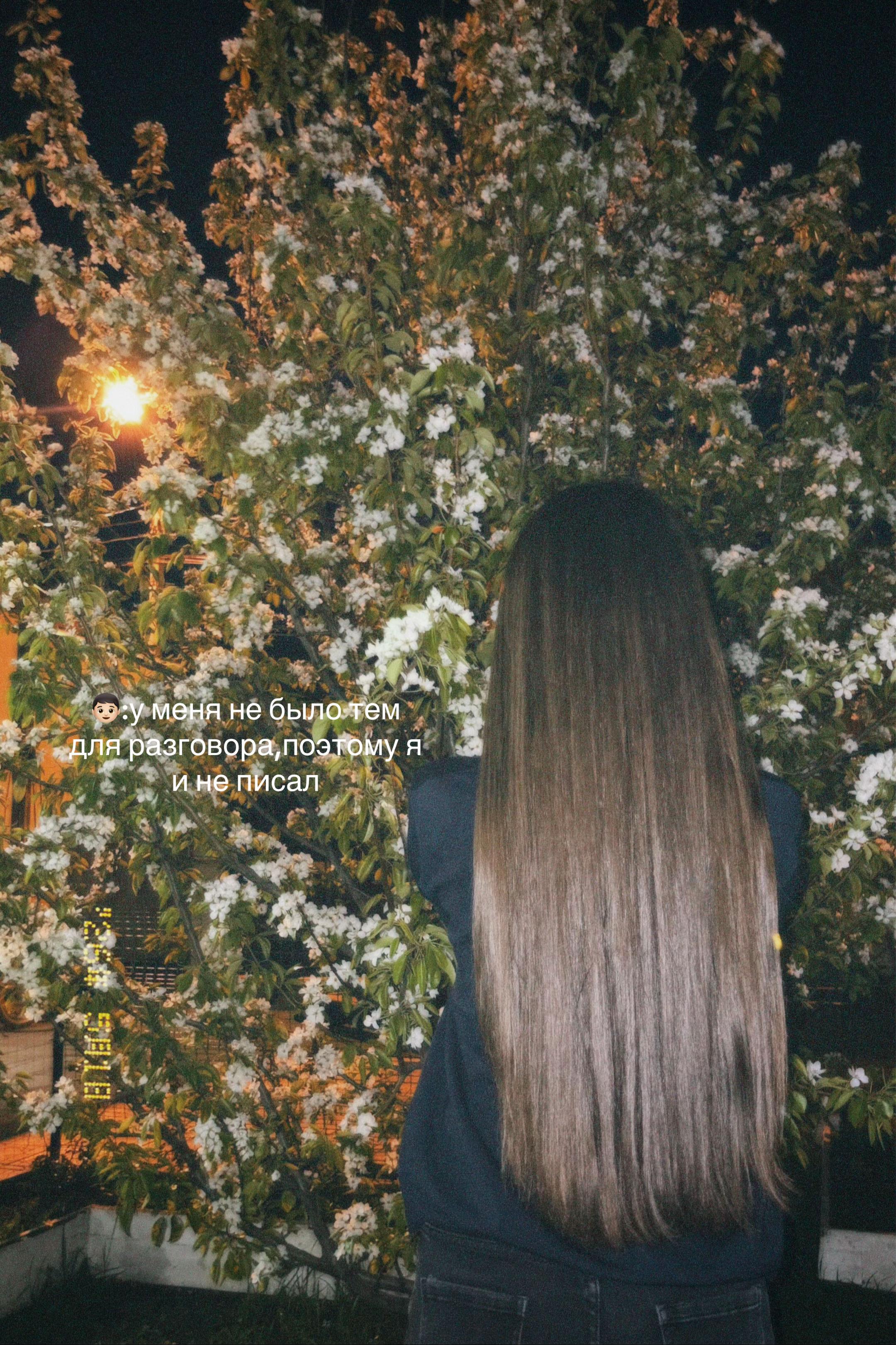@𝓚