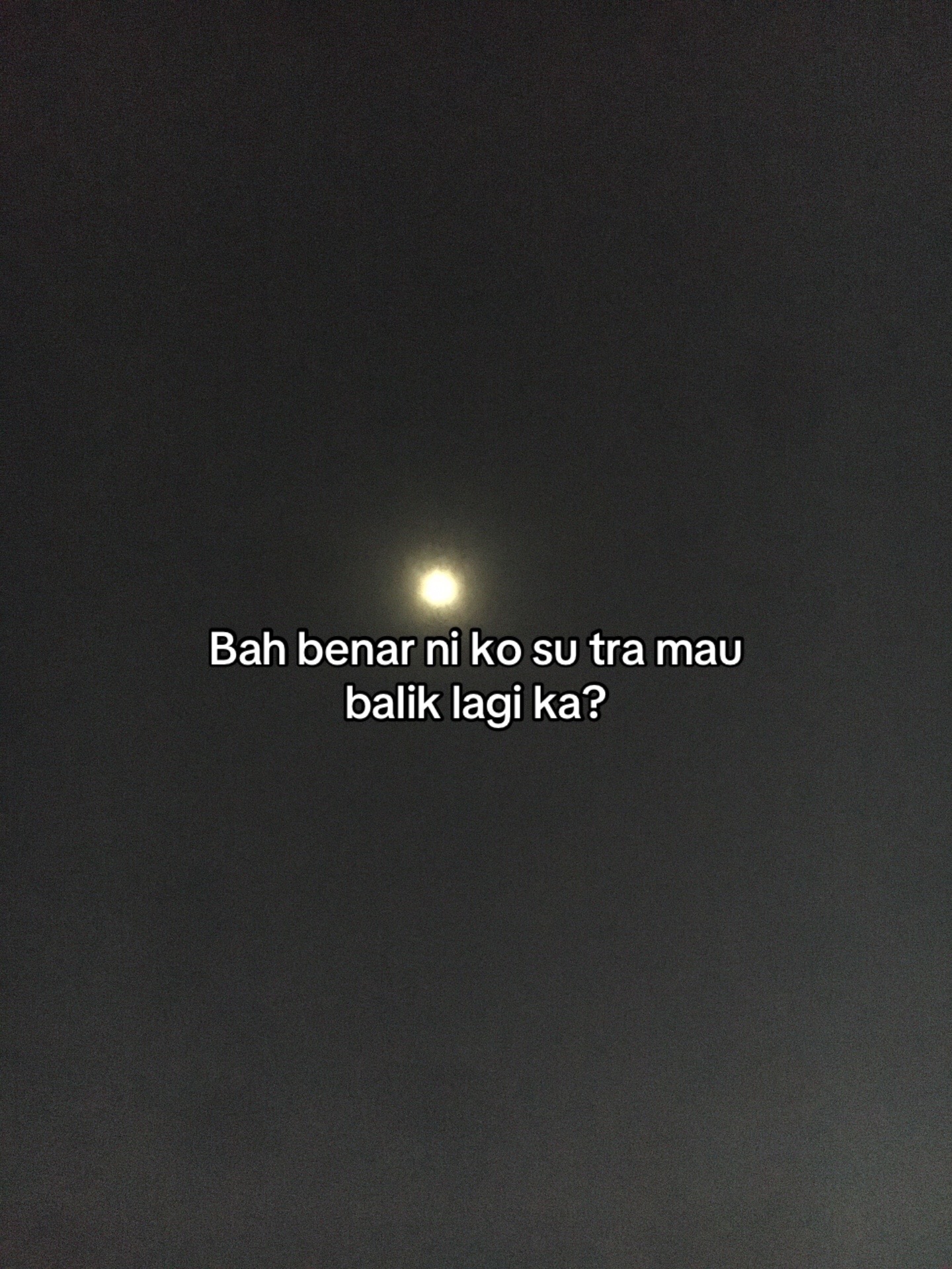 @🌻