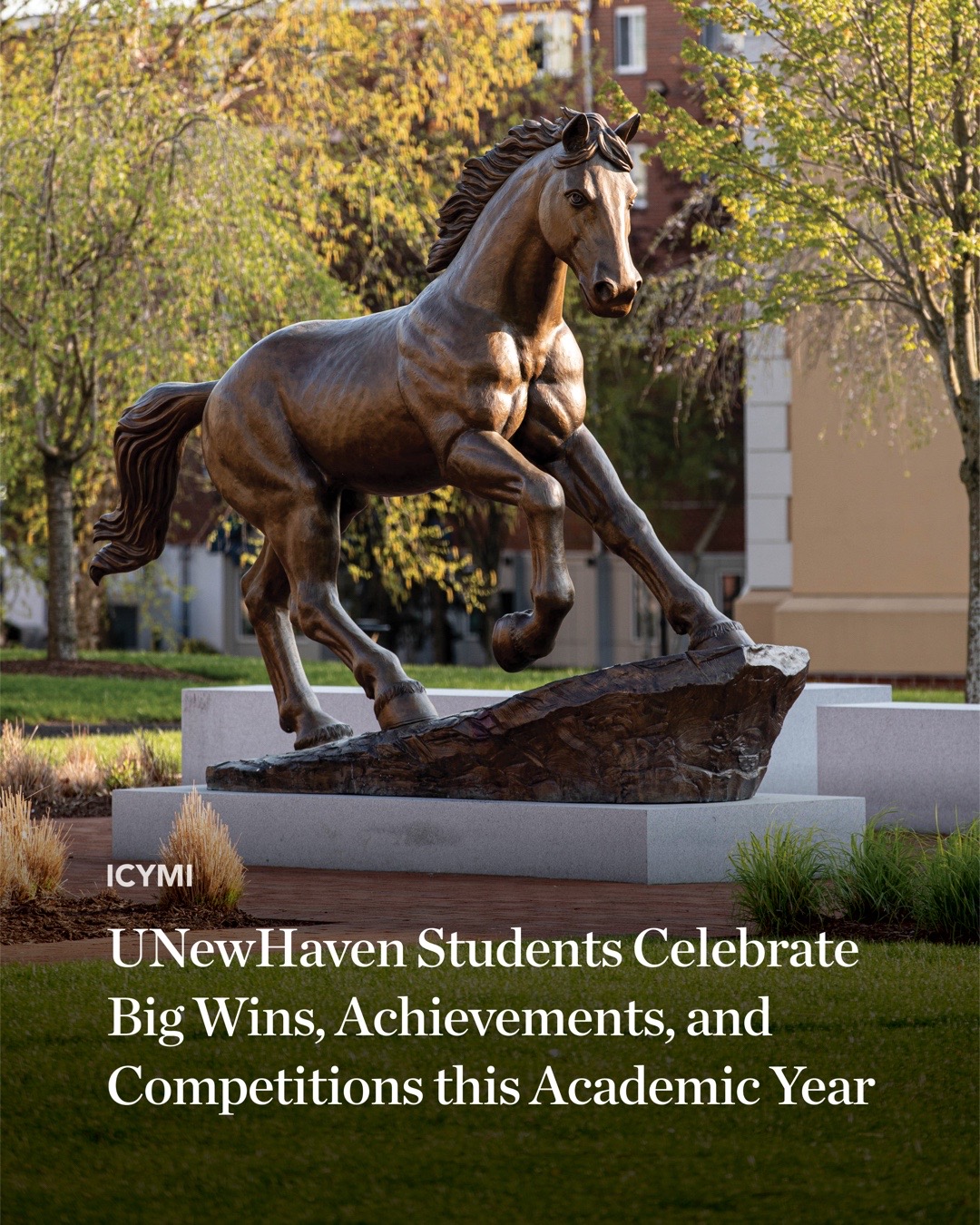 @University of New Haven