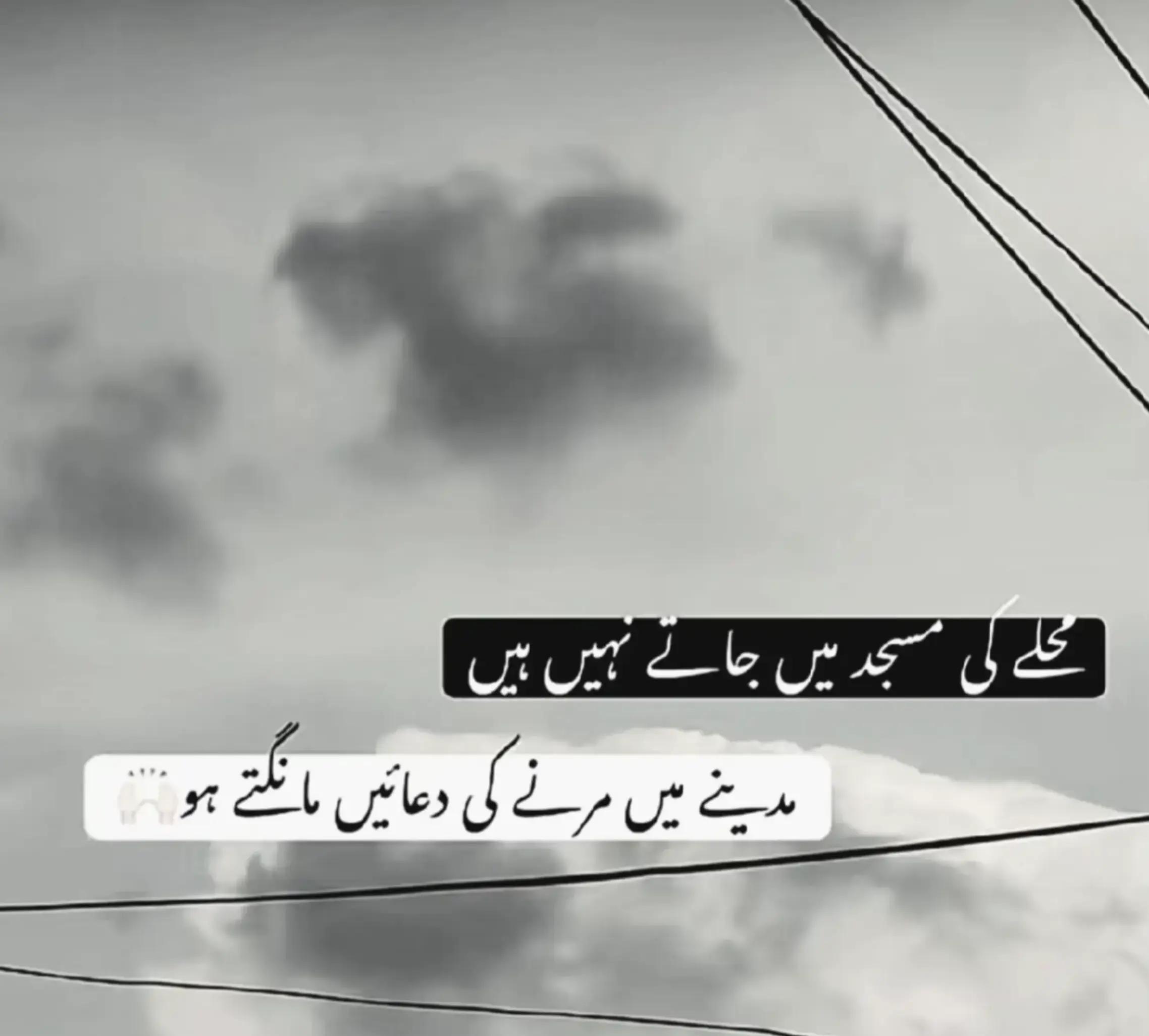 @SUHAIB MUHAMMAD RAFI