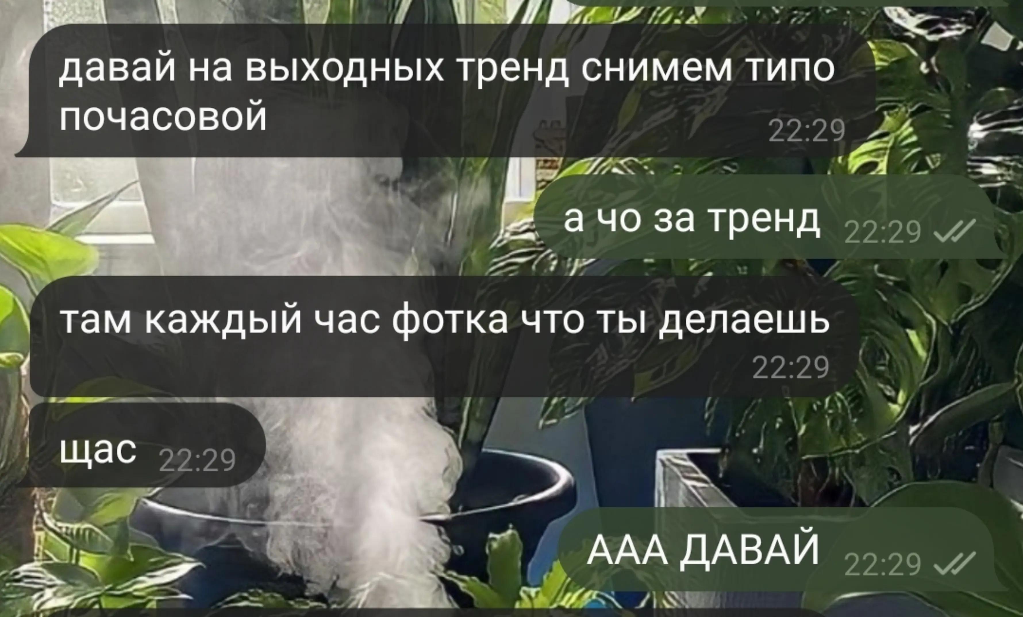 @🫦j3ss13 🦑🐇