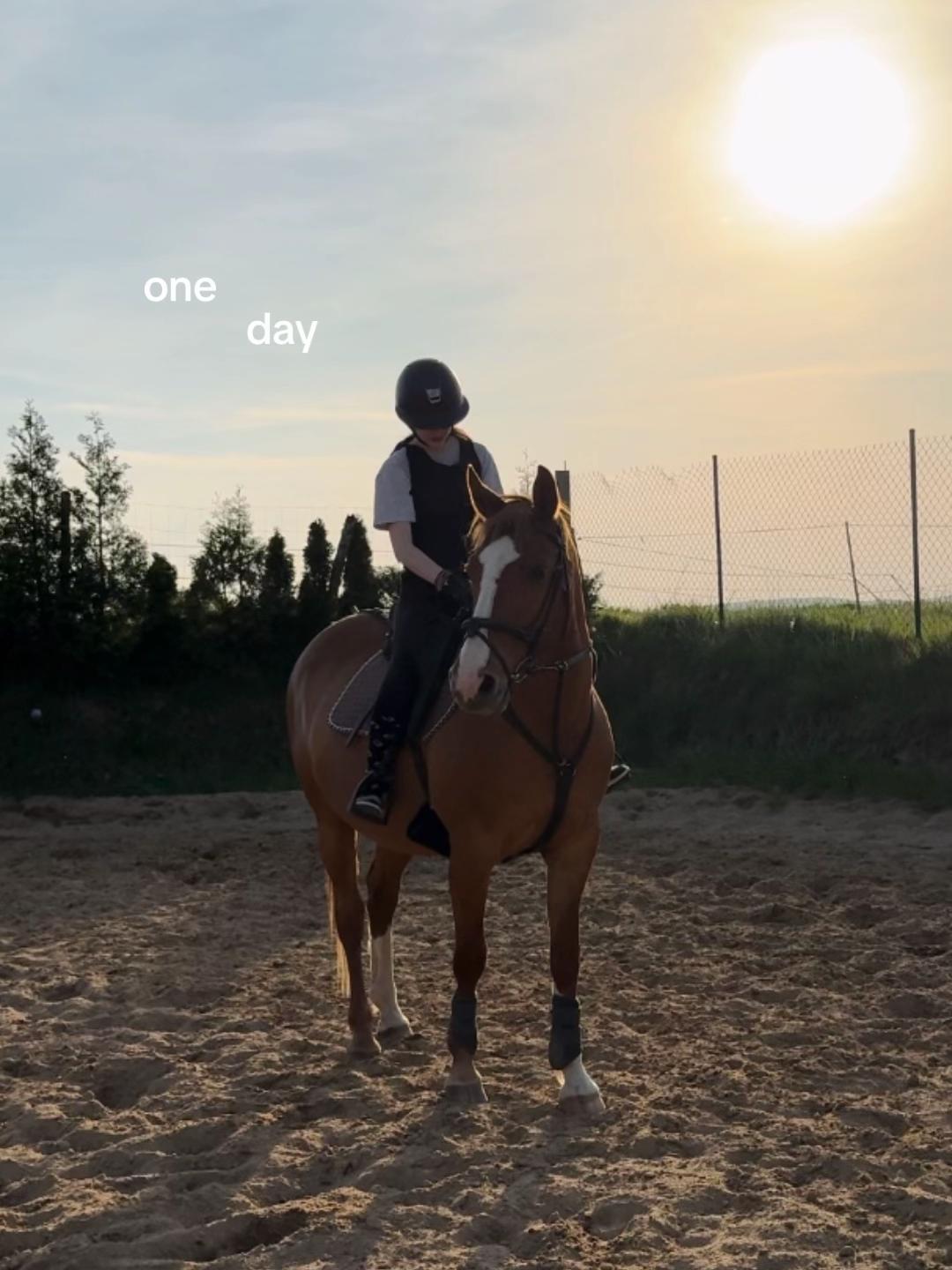 @W🦄