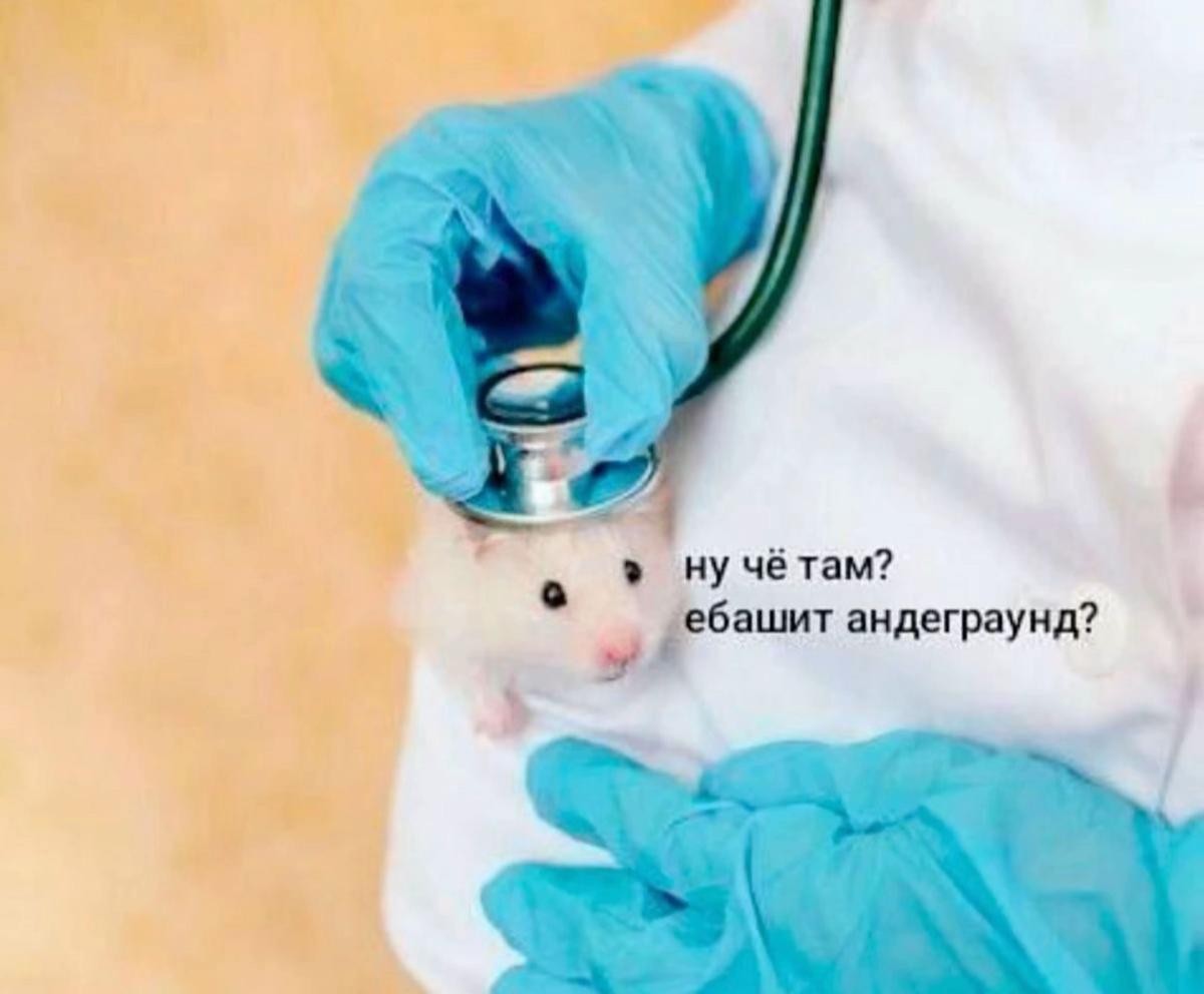 @тгк:karma_kvirus | Карма