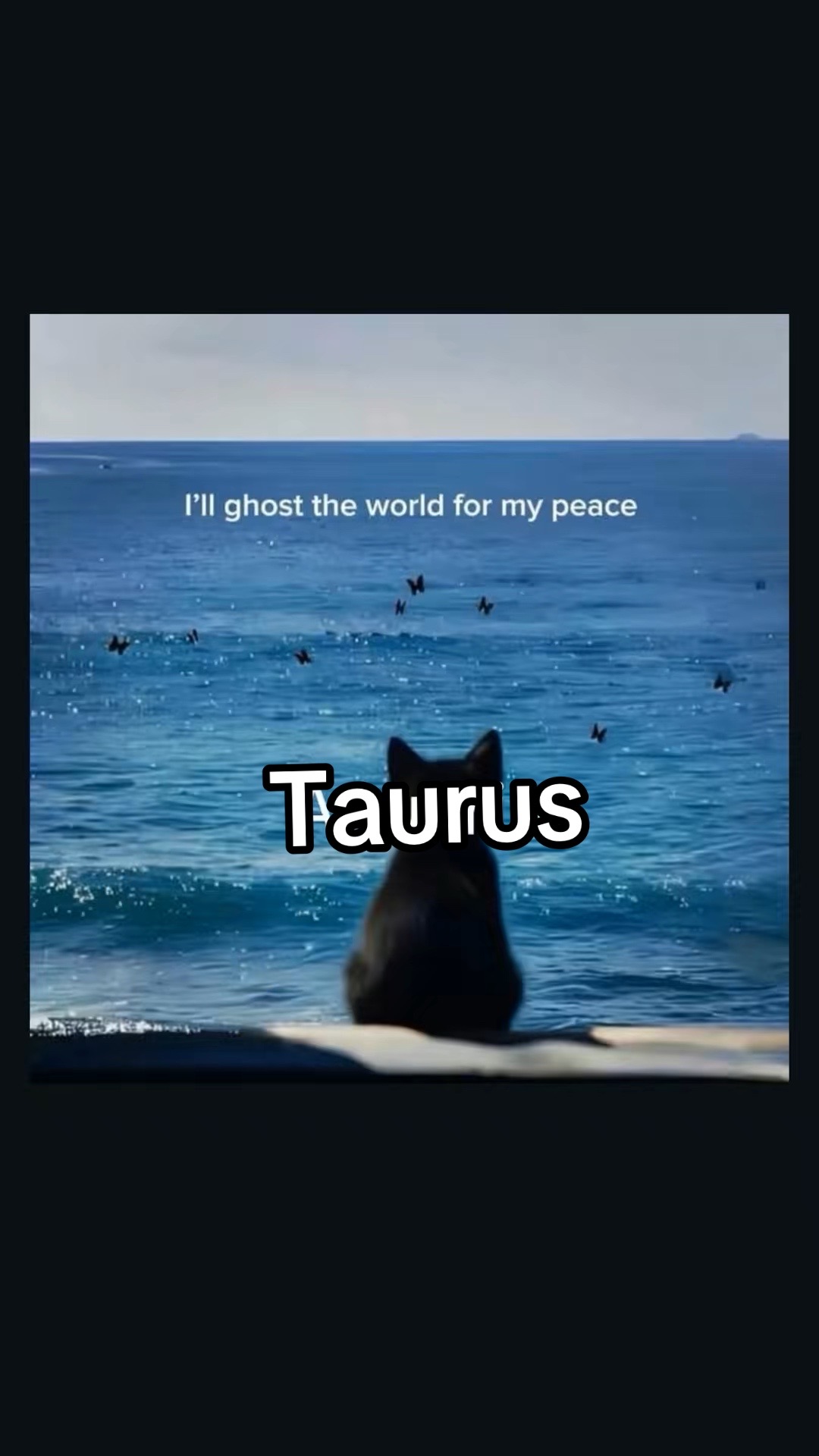 @StubbornTaurus