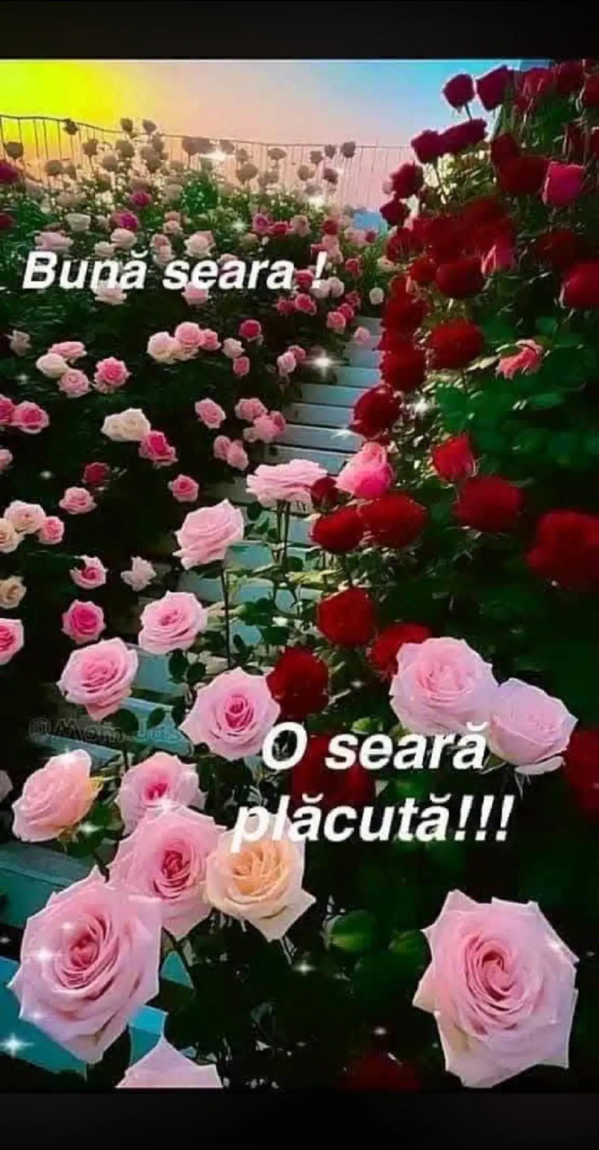 @𝓜𝓲𝓱𝓪𝓲 &hearts;️