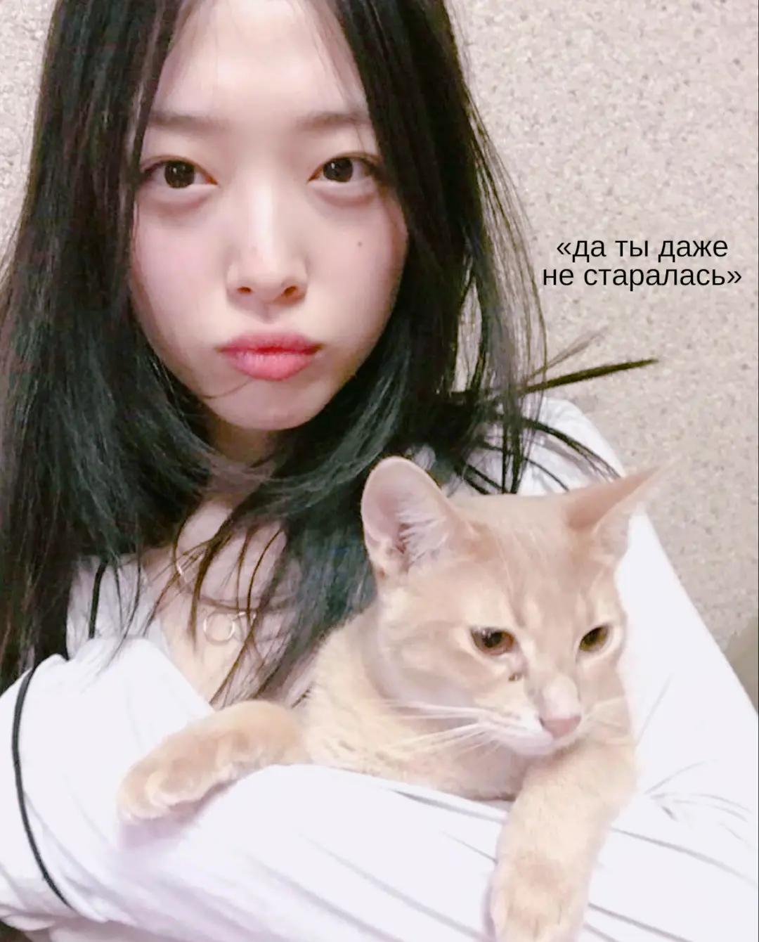 @натсуми