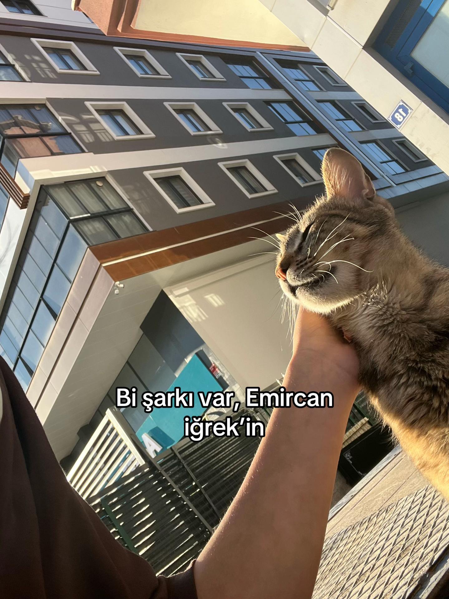 @Ниса