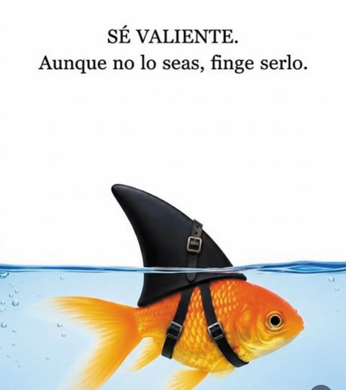 @Antonio Chiummo