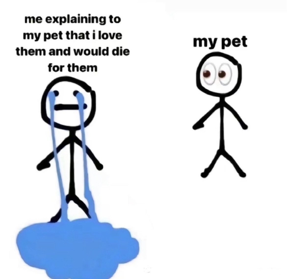 @Lauren Jade