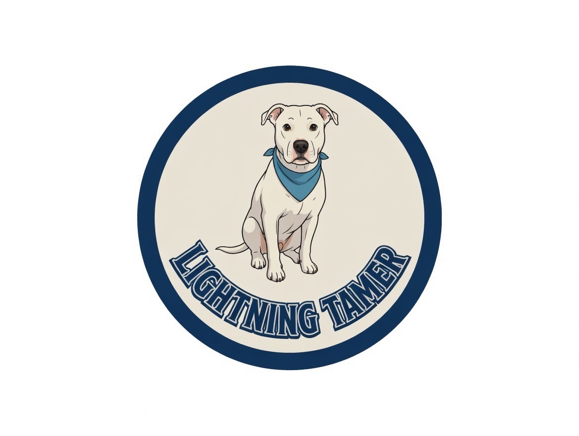 @⚡️Lightning Tamer⚡️