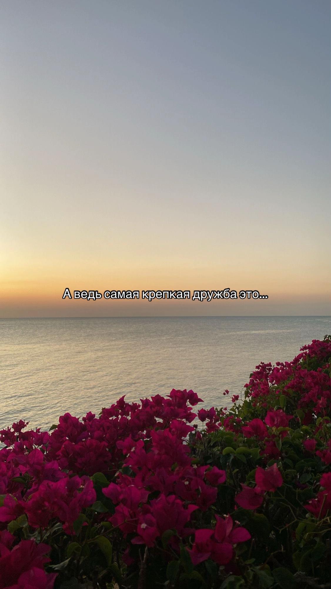 @ᴏʙʀᴇᴄʜʏᴏɴɴʏ sʀᴀᴢʜᴀᴛsʏᴀ