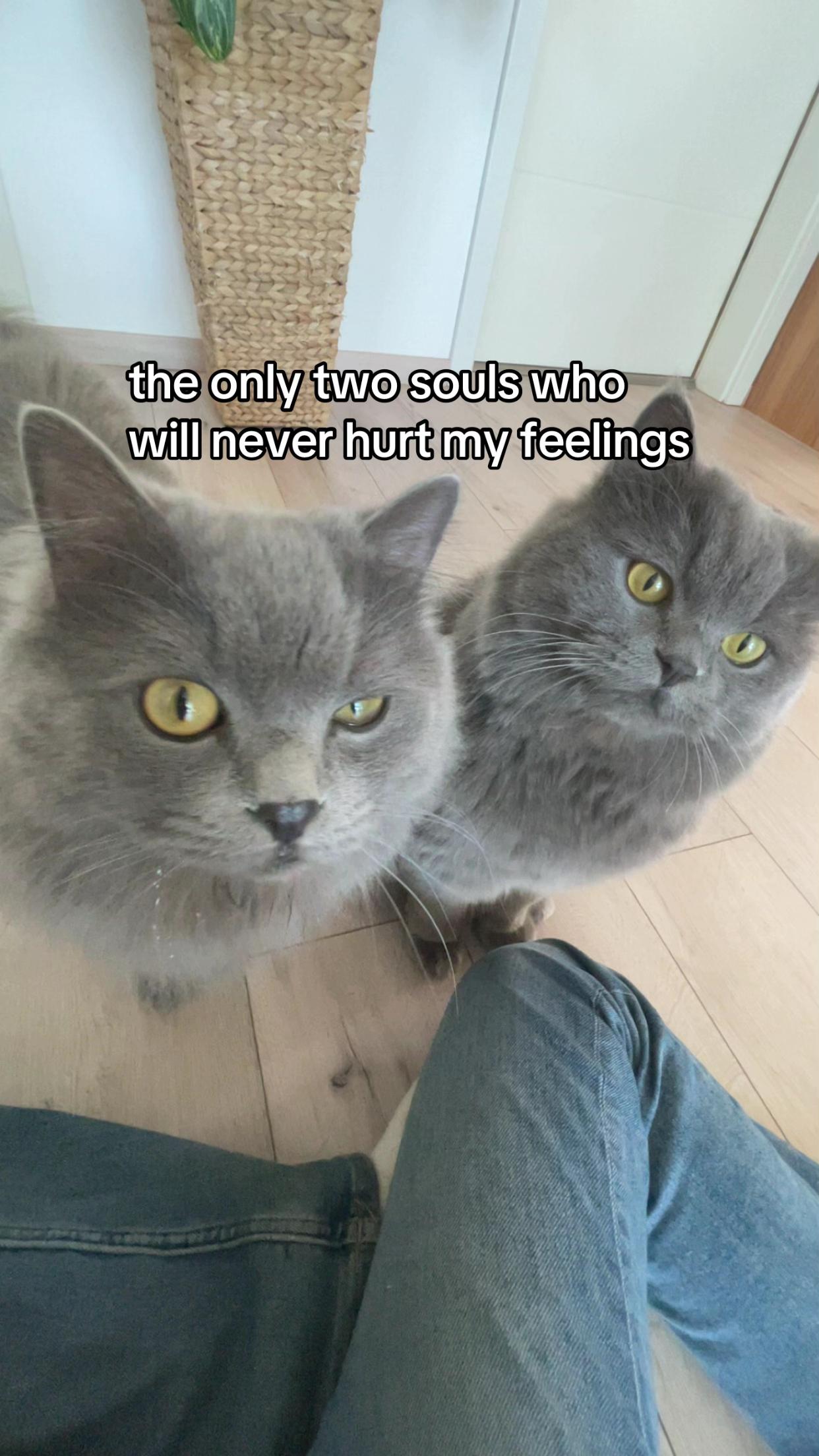 @𝒞ℯ𝓁𝒾𝓃ℯ