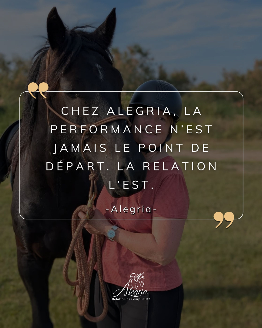 @Alegria Relation de Complicité