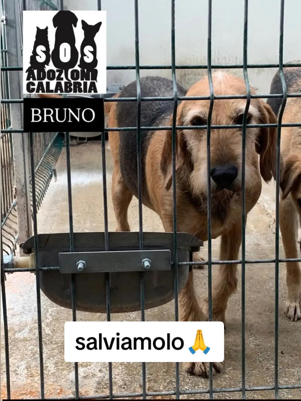 @Pina Rossignuolo