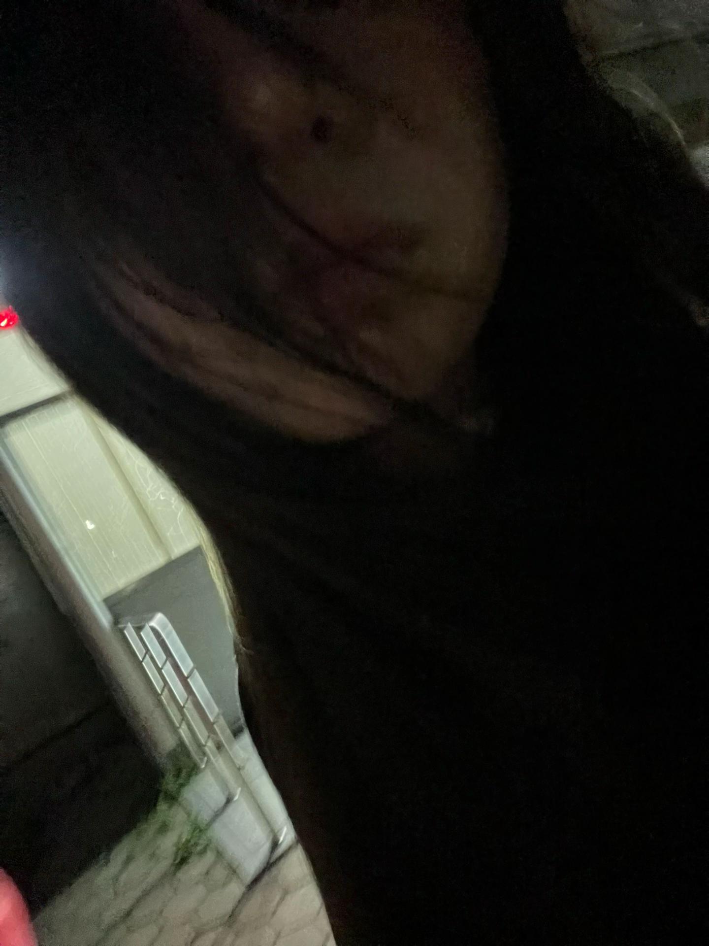 @notlika