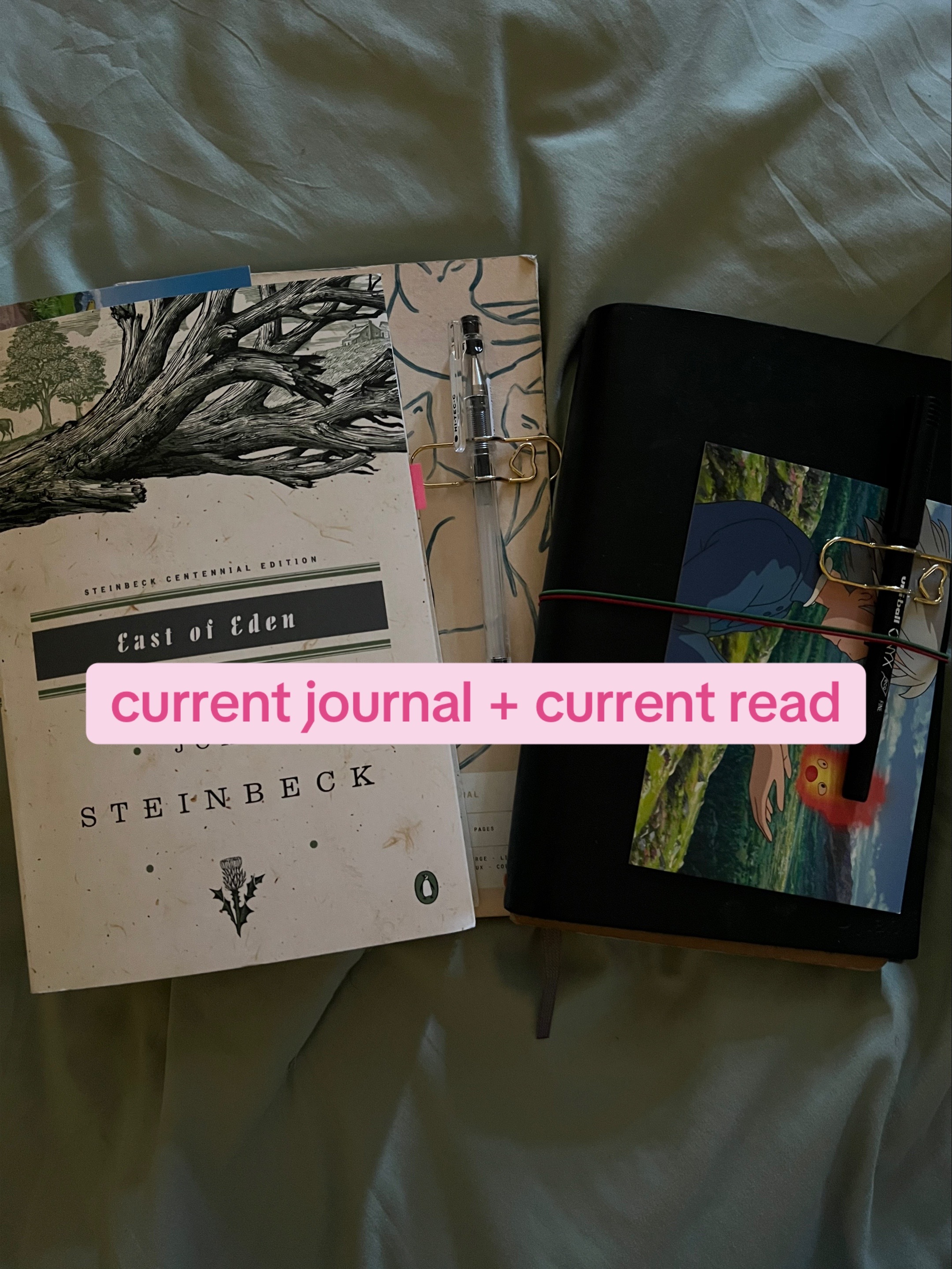 @Dylan | Writer | CC 📚🦋