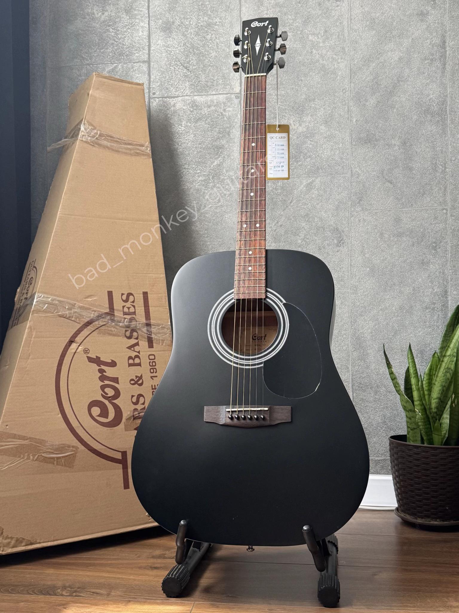 @Bad Monkey Guitars