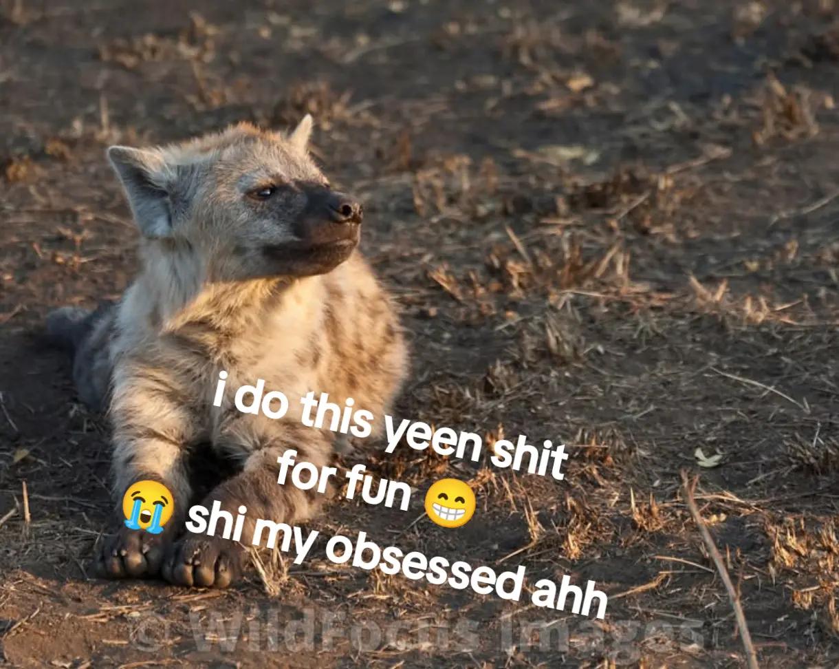 @AbrahamTheHyena🆒6️⃣9️⃣