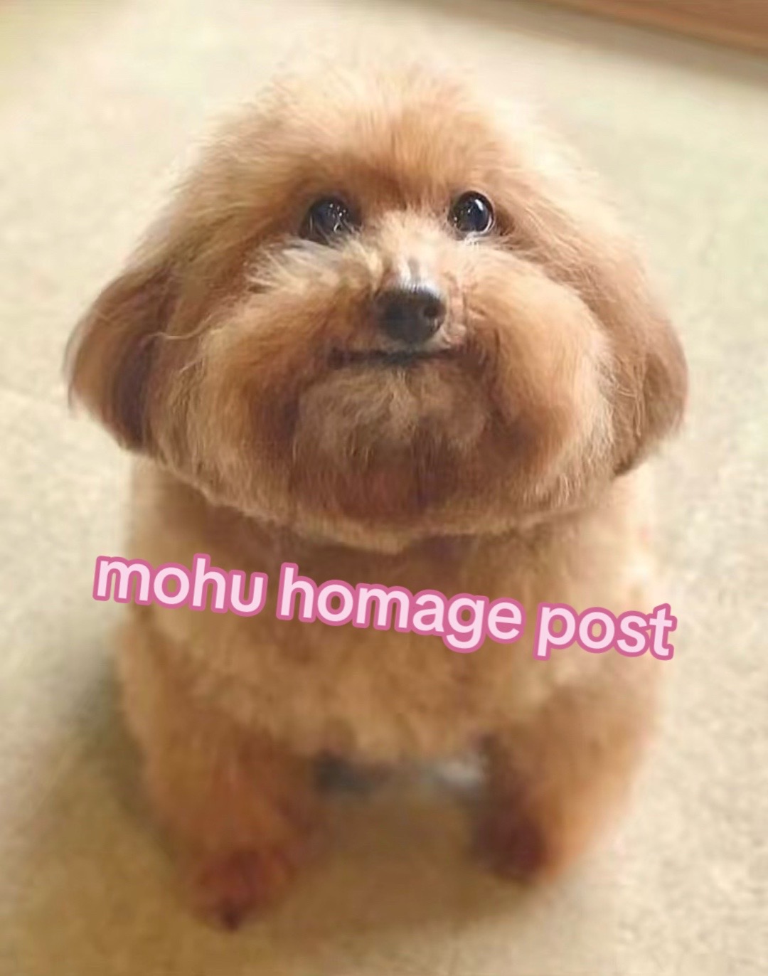 @samson