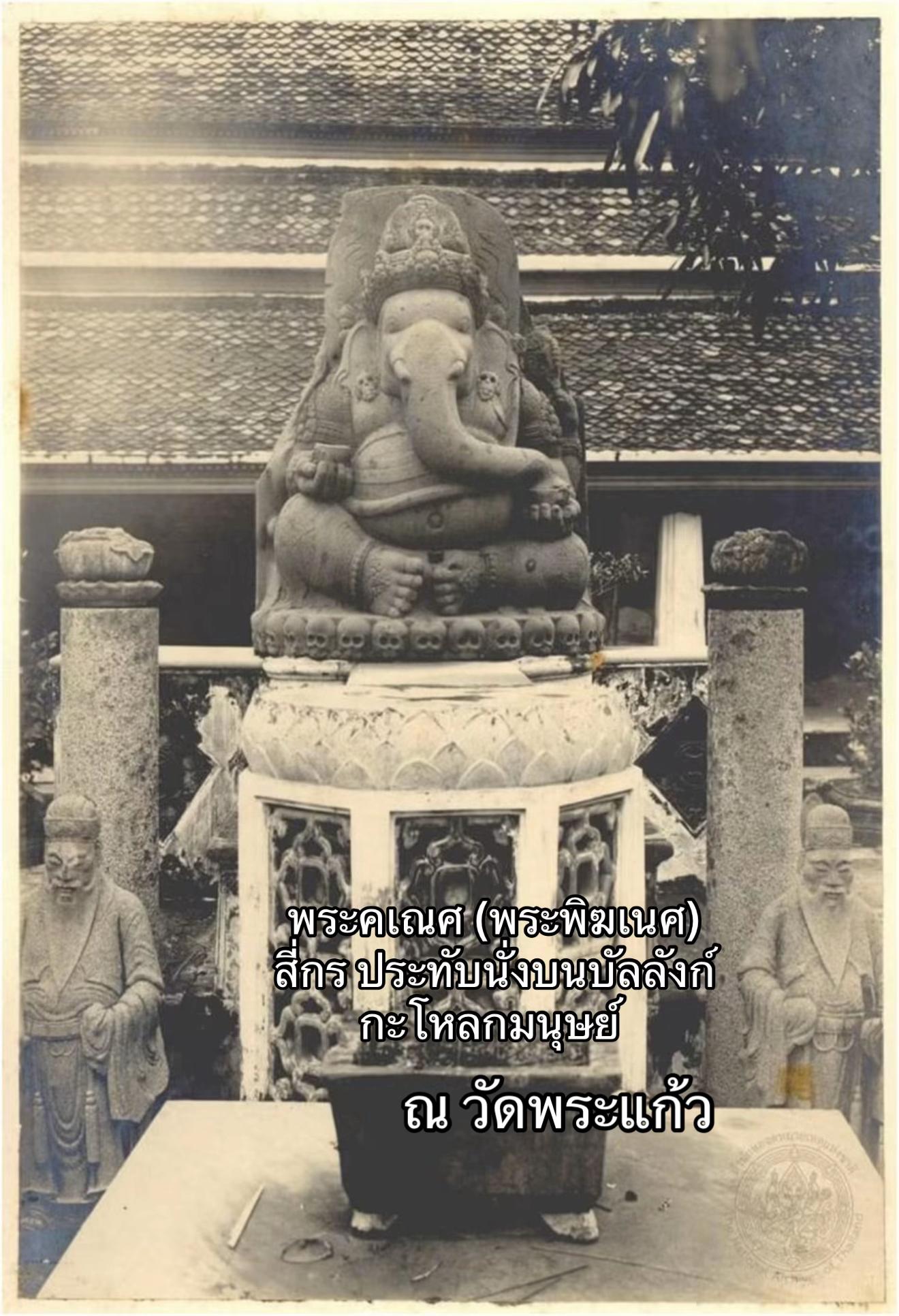 @ตามแม่มาแม่จะพาไปมู