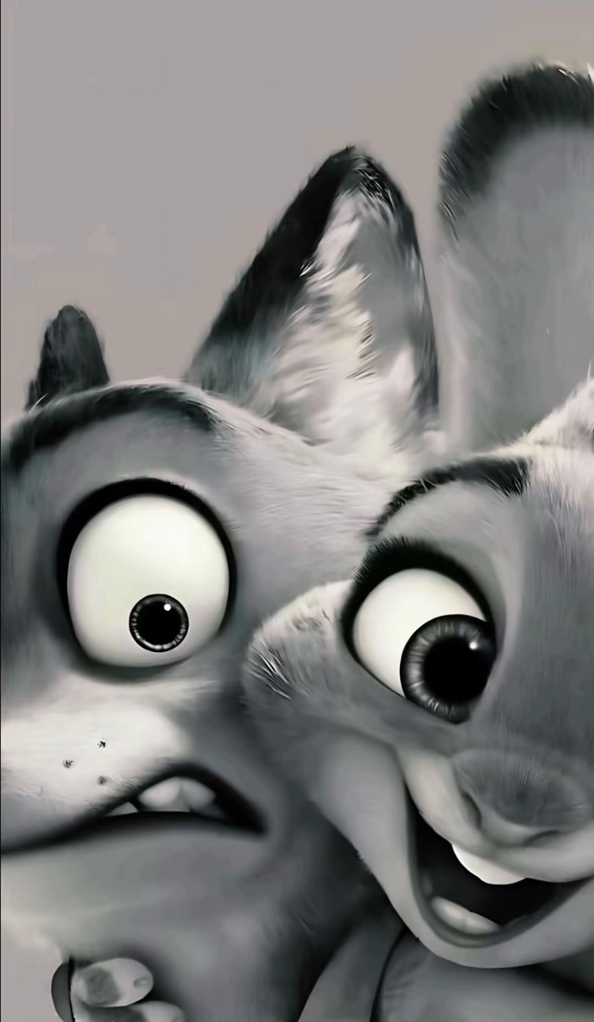 @๐ø๐๐ฉ๐ช๐ฆ