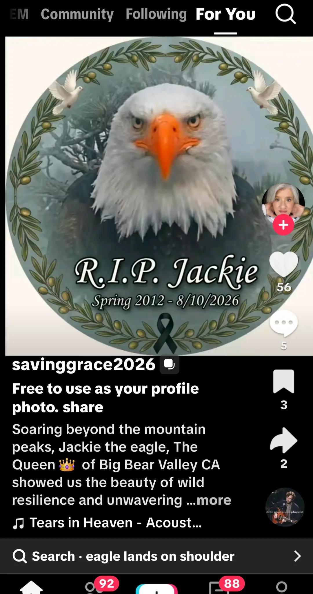 @Gail_Ihave9lives