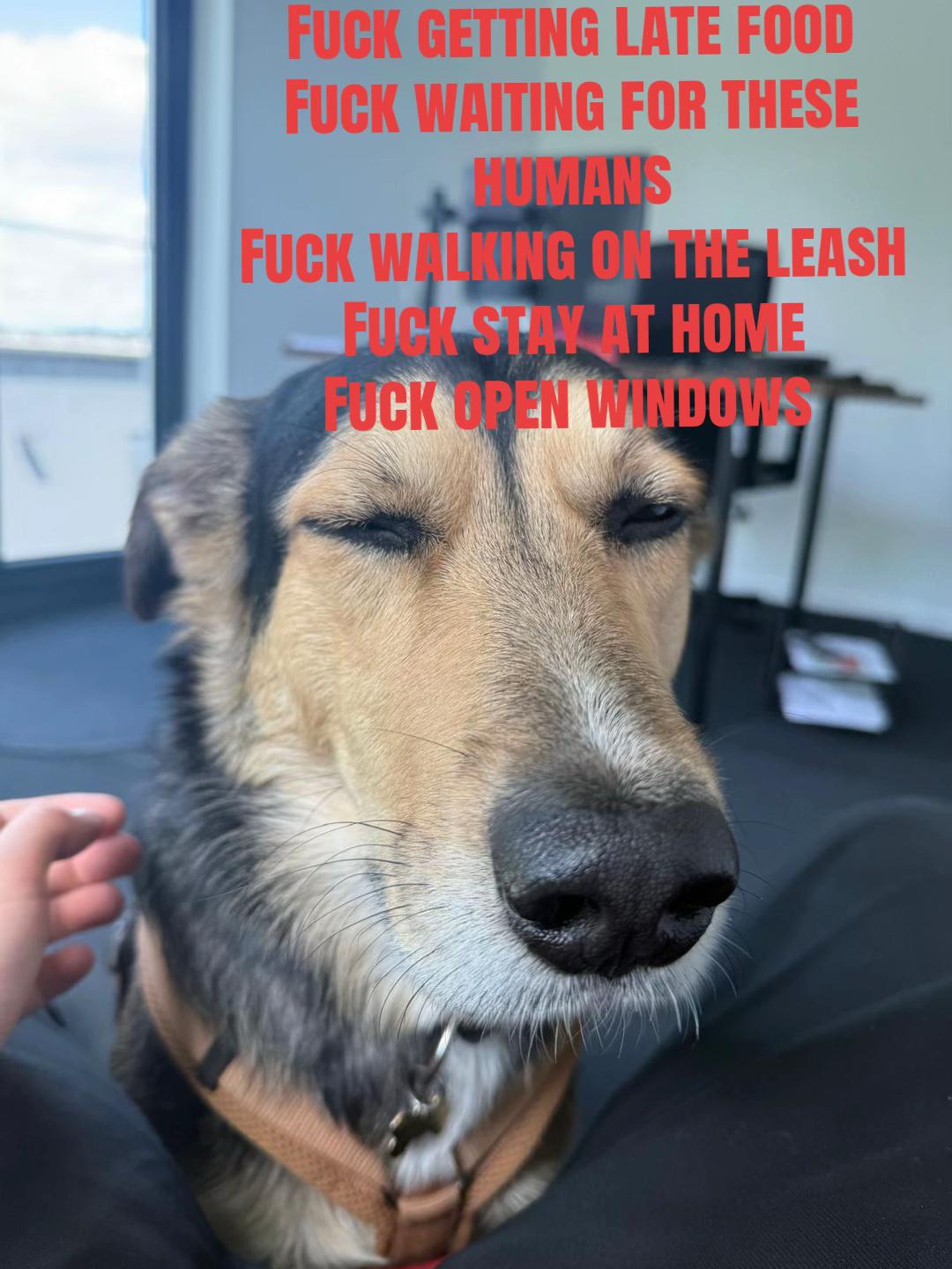 @𝒥𝒪𝒱𝐼𝒜☽