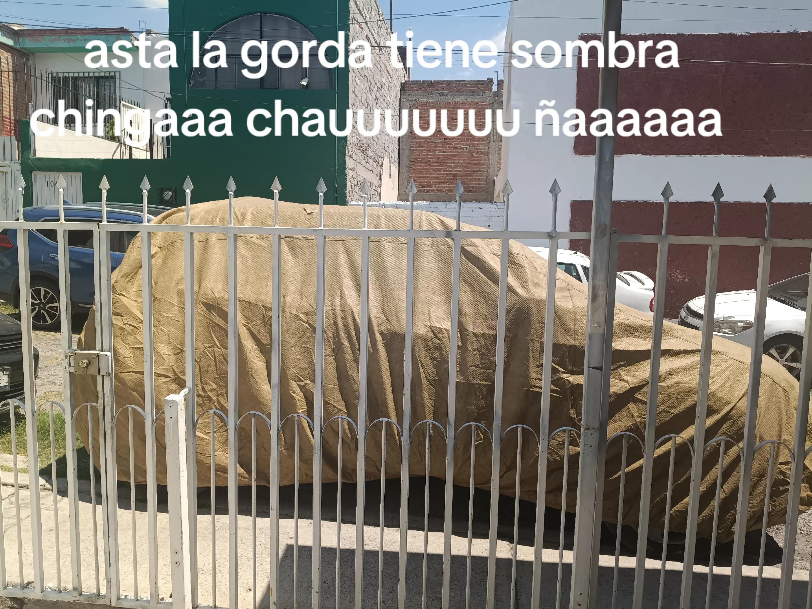 @memorias