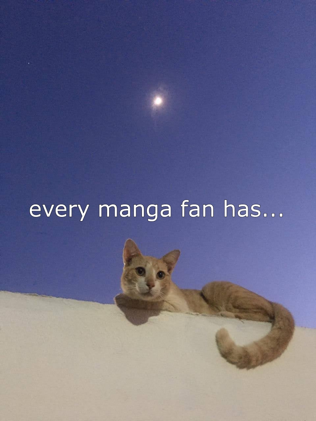 @ryotagoenji