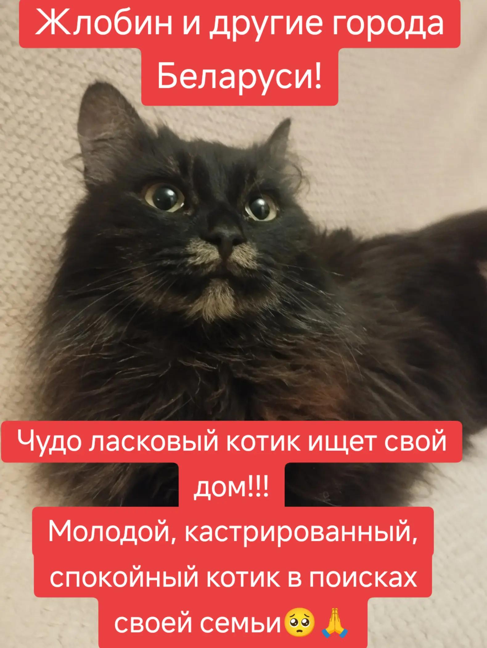 @Светлана Козлова