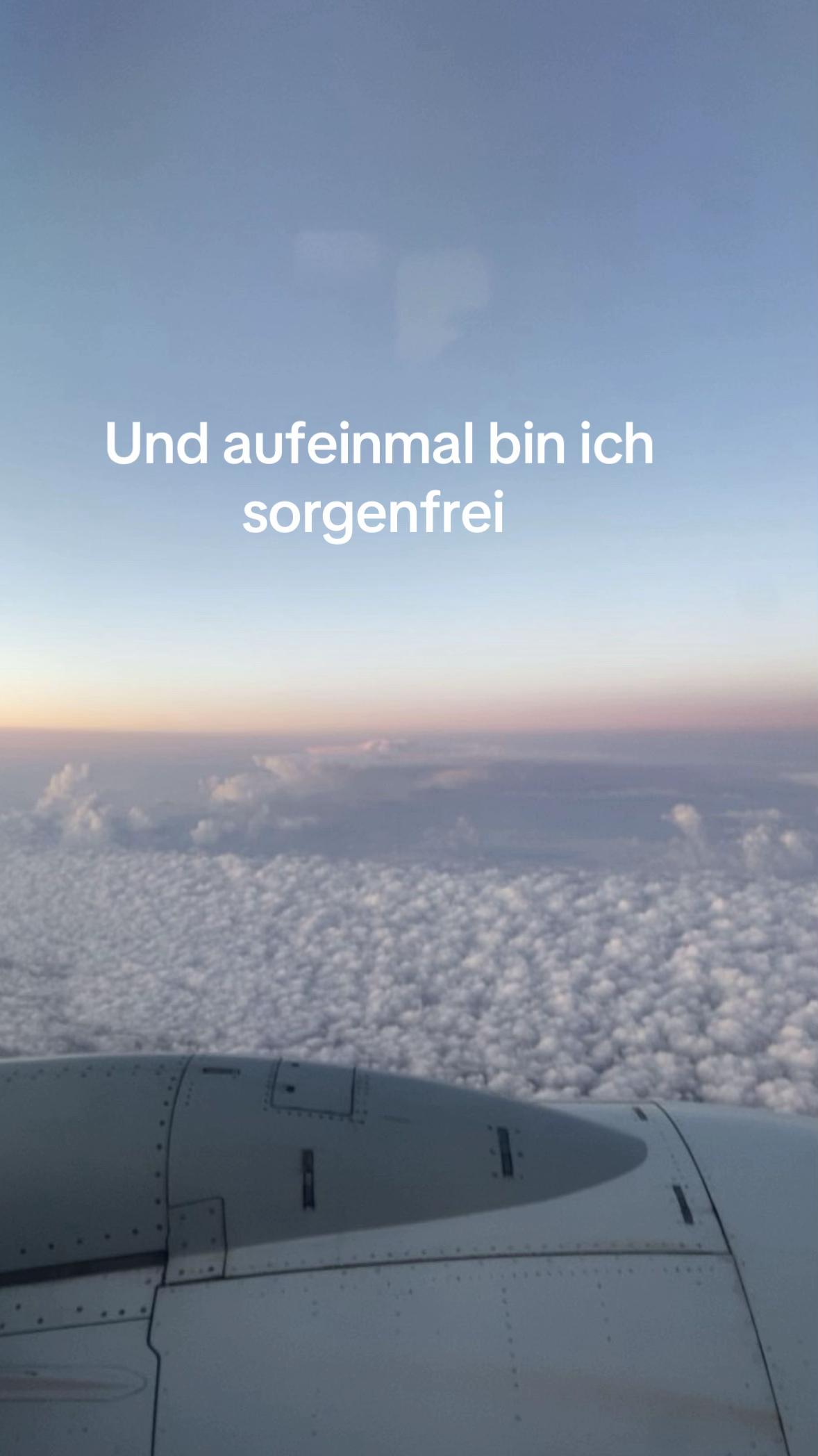 @🎀 𝓥𝓮𝓻𝓲 🎀