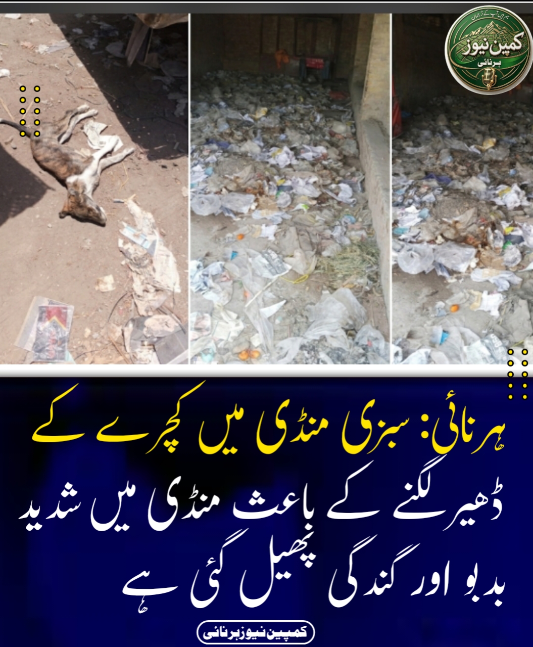 @کمپین نیوز پاکستان