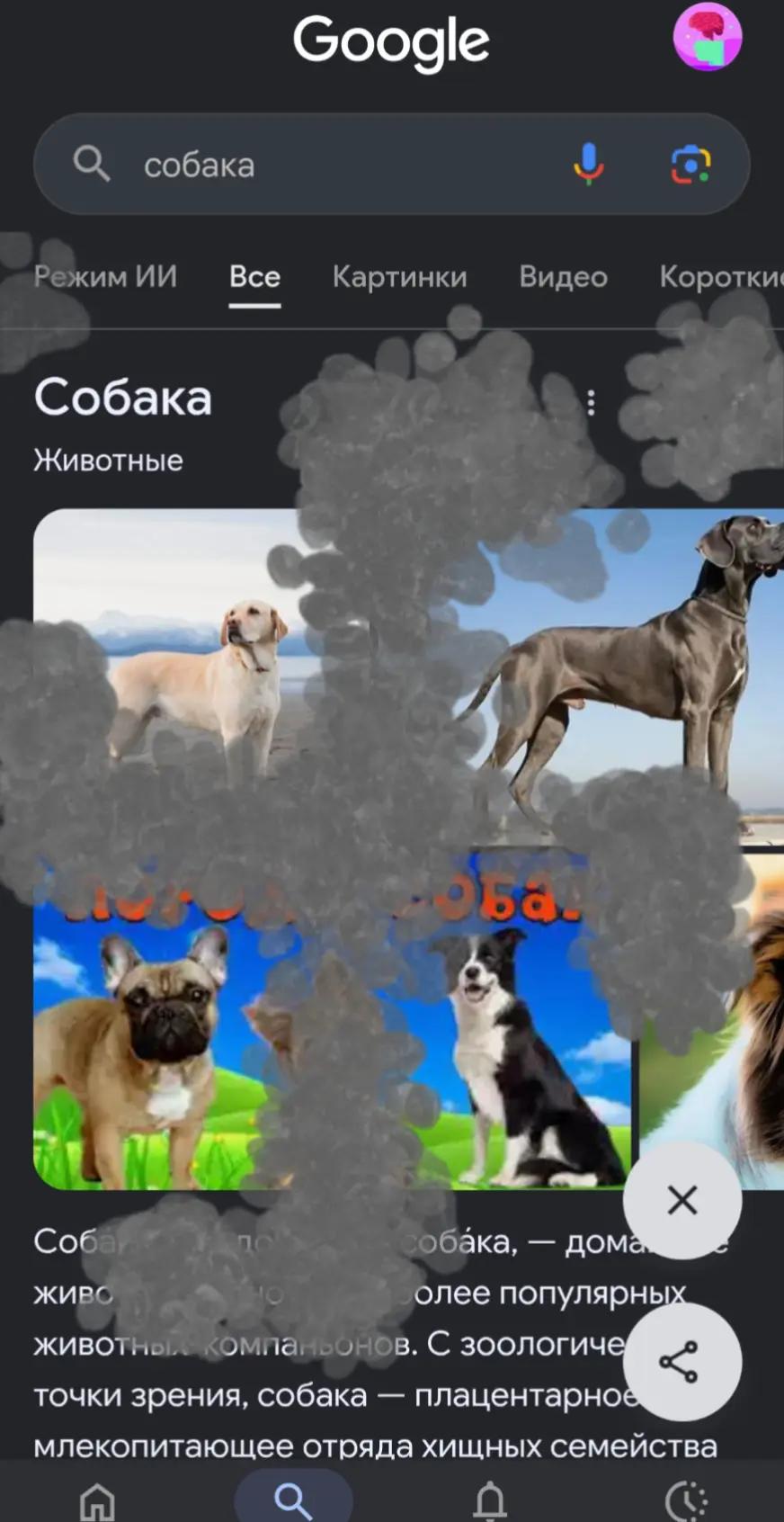 @киткат