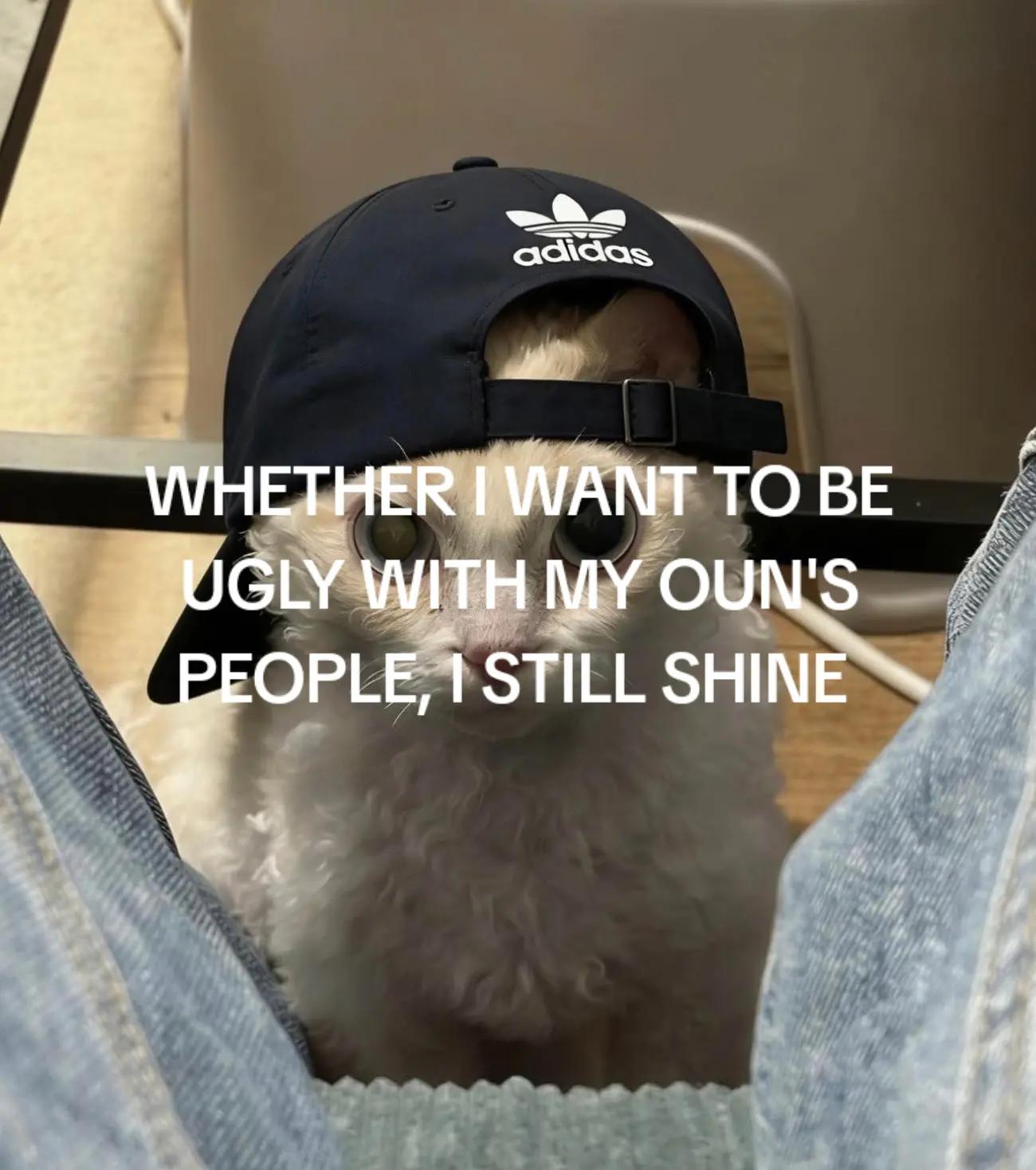 @Pinguin0805