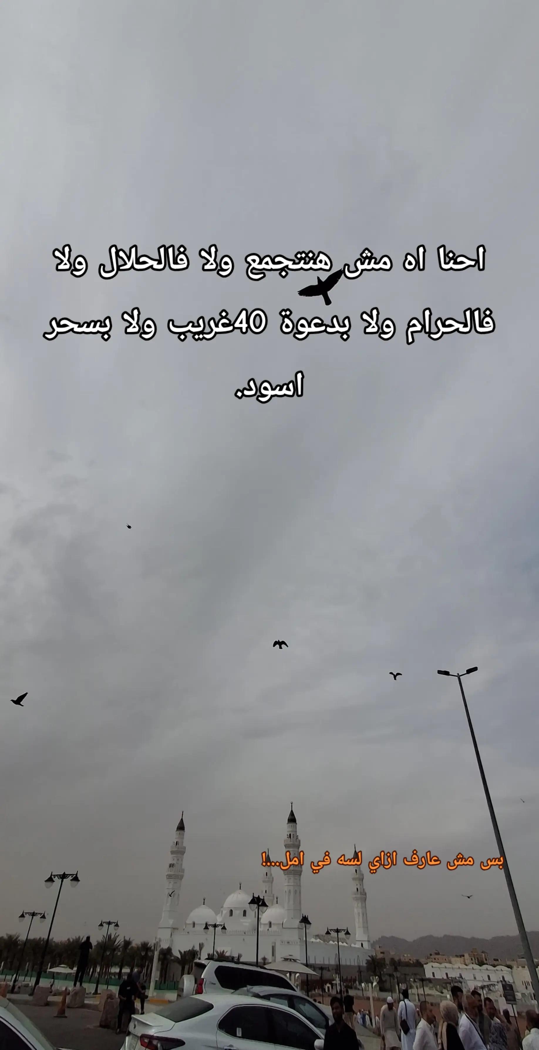 @كاره البشر!🤎