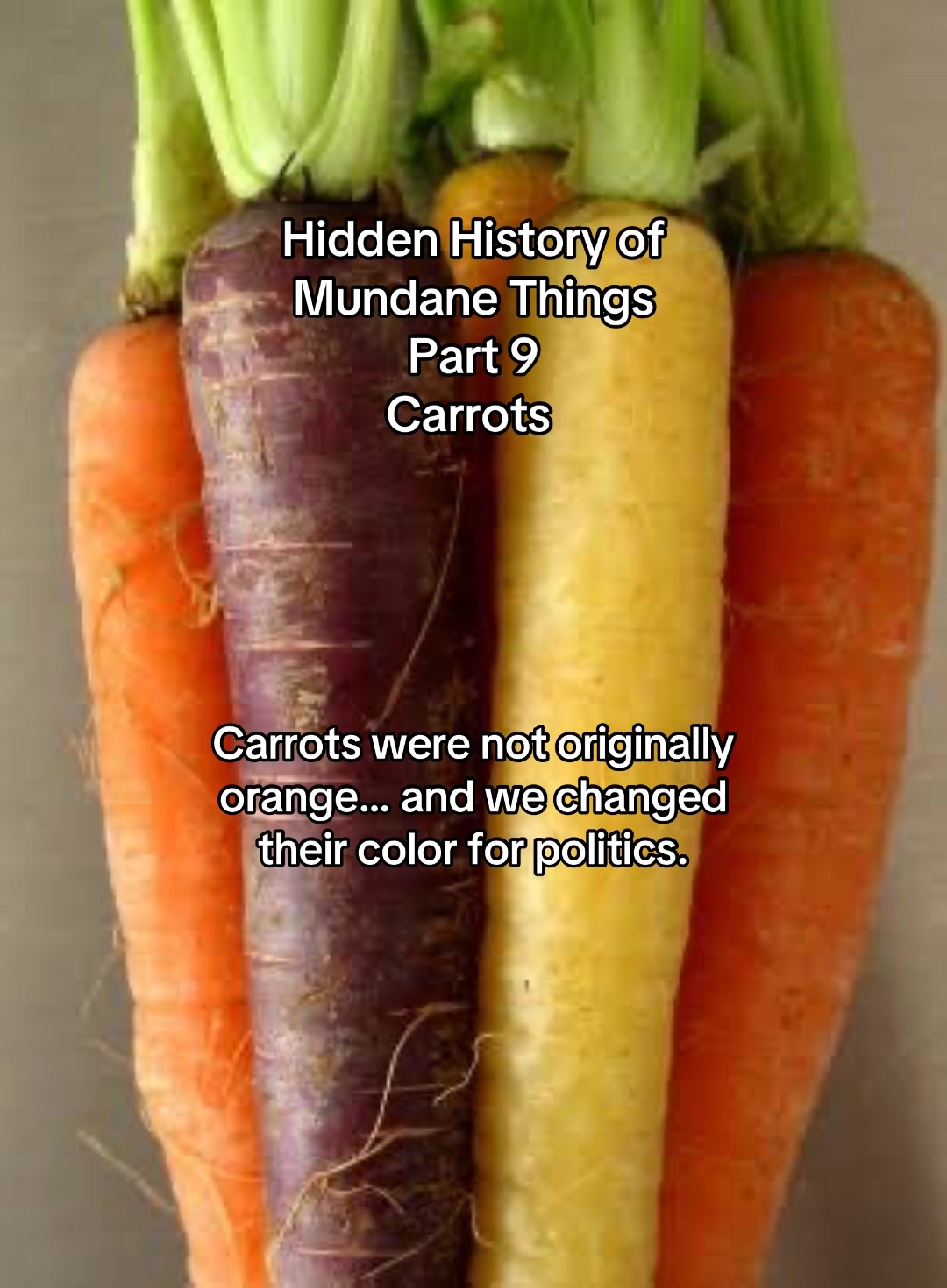 @mundanehistories